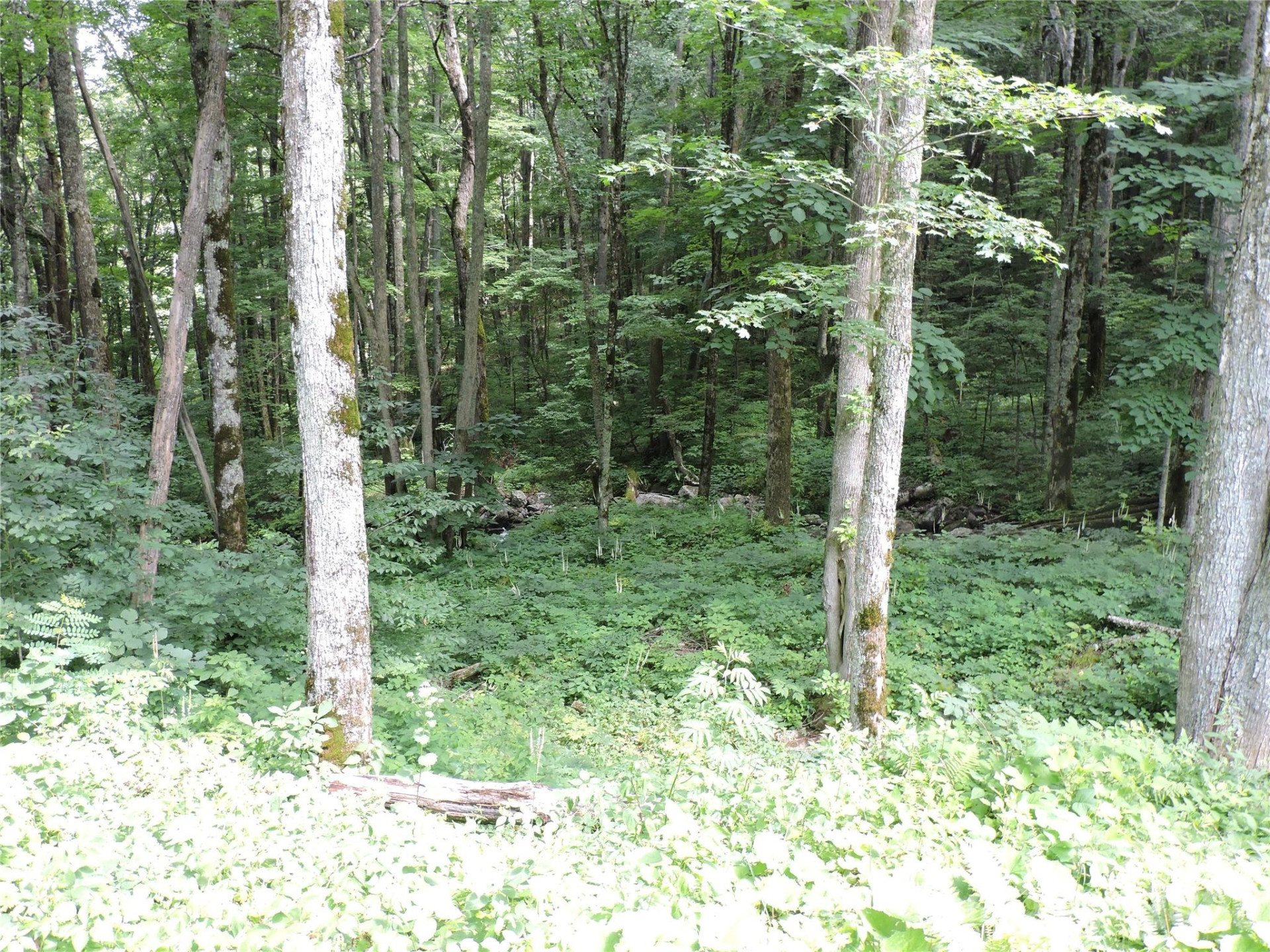 103 Chucks Lane - Photo 42