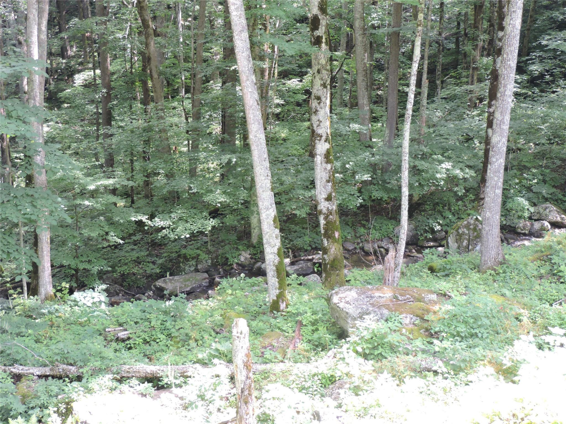 103 Chucks Lane - Photo 43