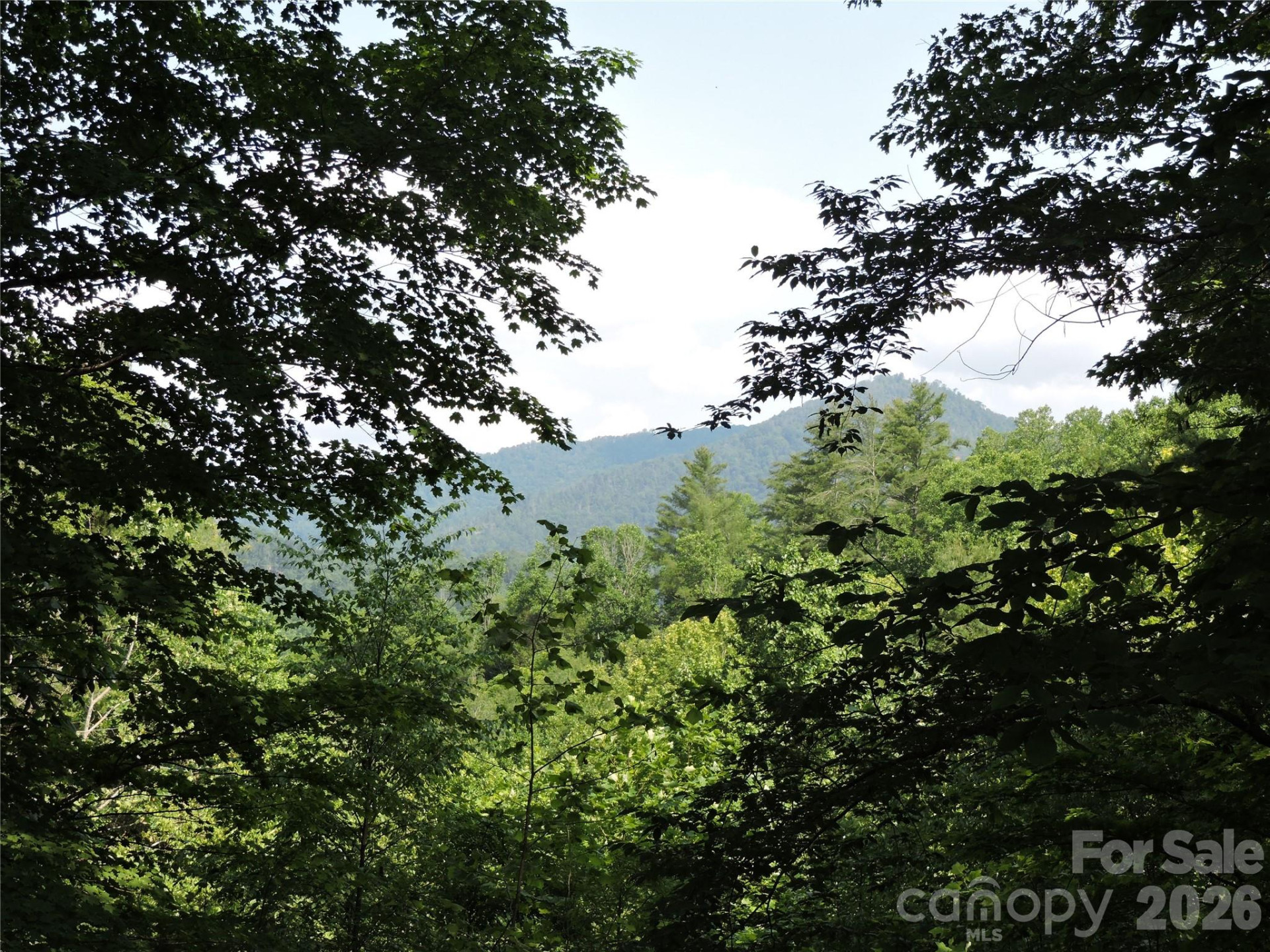 103 Chucks Lane - Photo 45