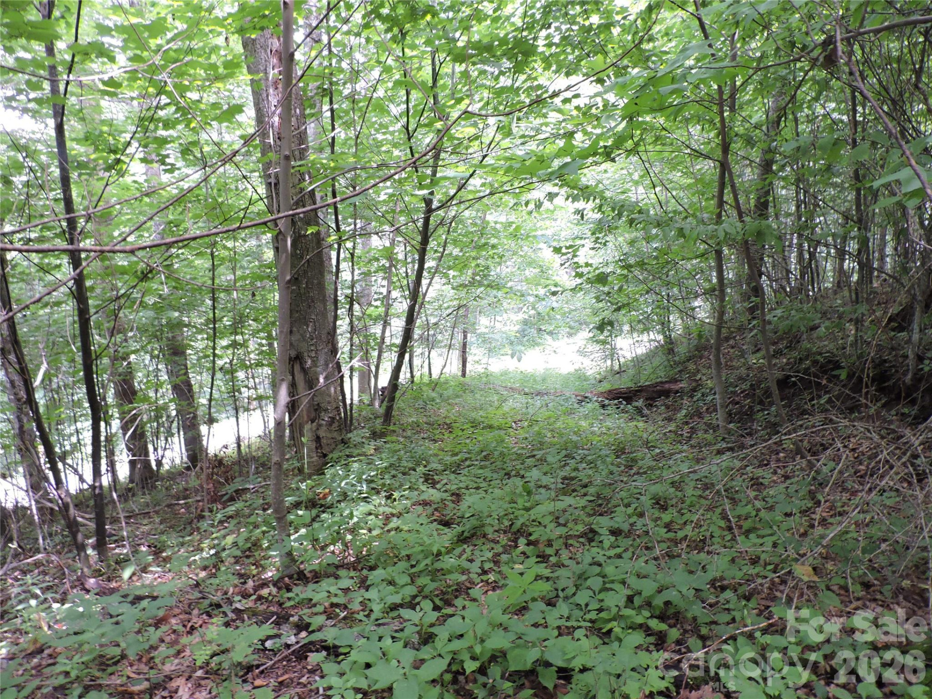 103 Chucks Lane - Photo 46