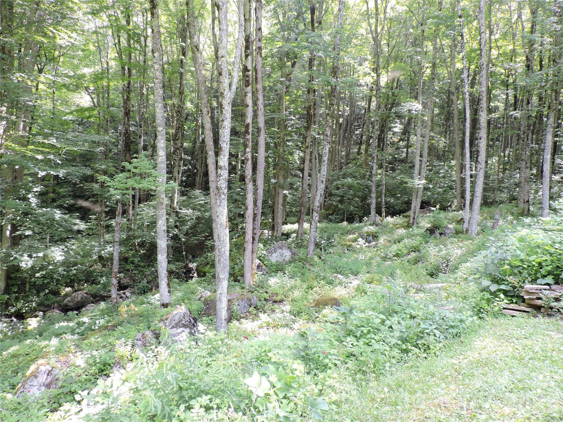 103 Chucks Lane - Photo 48