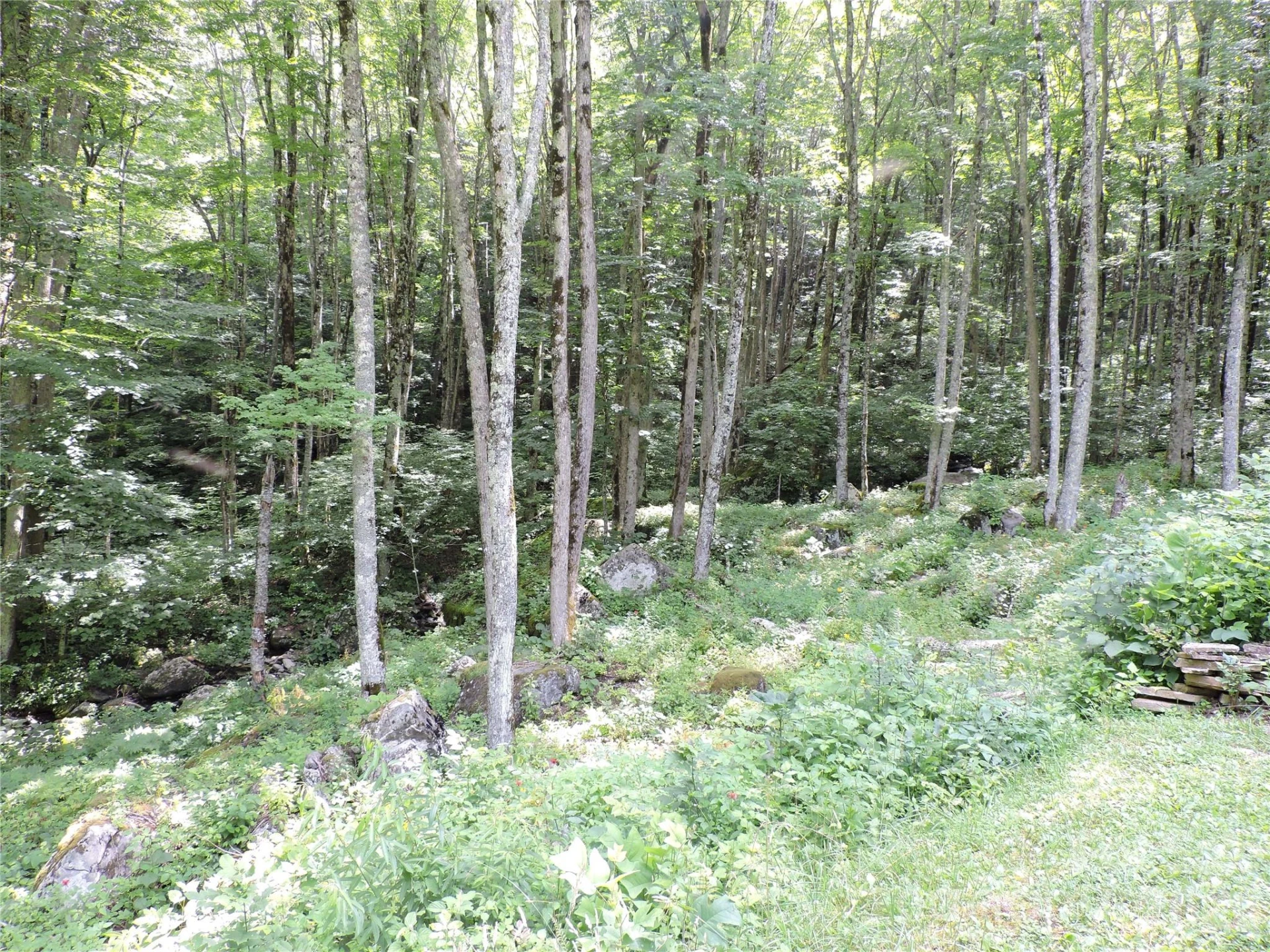 103 Chucks Lane - Photo 48