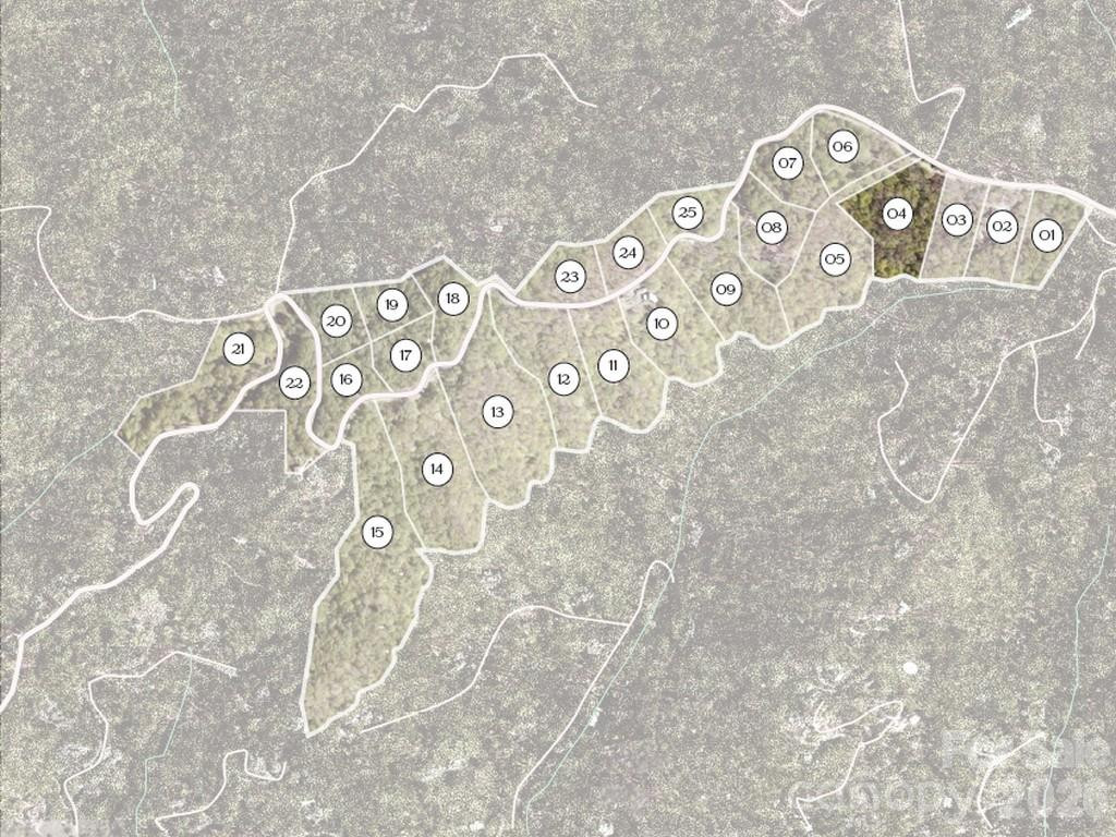 631 Elk Mountain Scenic Highway - Photo 37