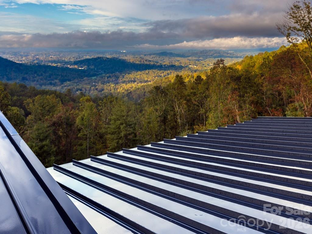 641 Elk Mountain Scenic Highway - Photo 10