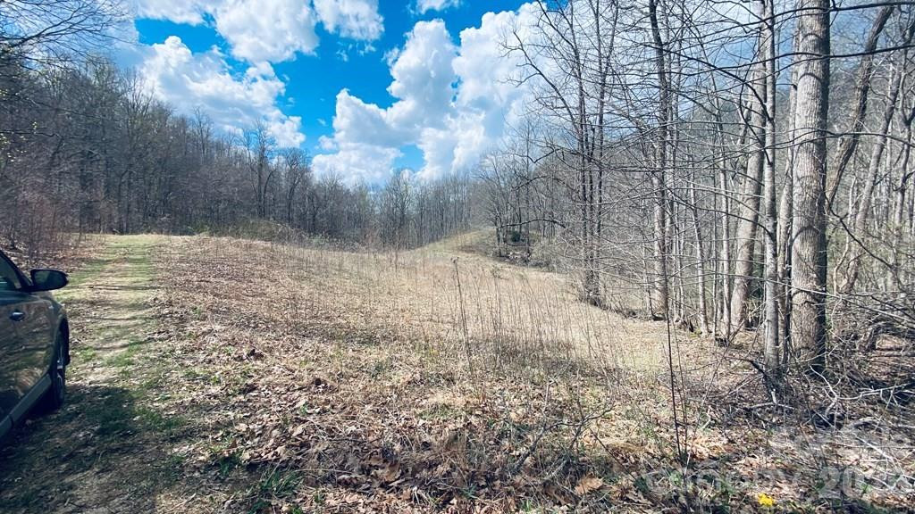 5 Brasstown Road - Photo 3