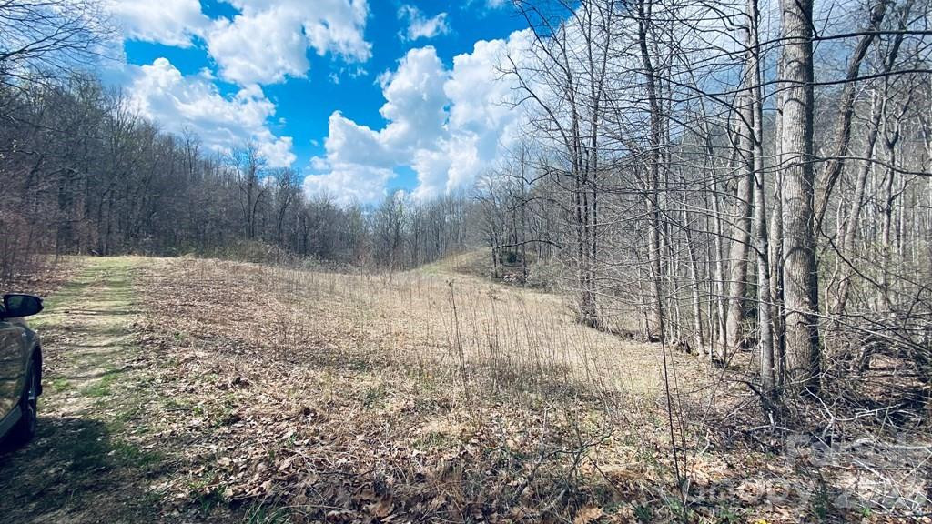 5 Brasstown Road - Photo 4