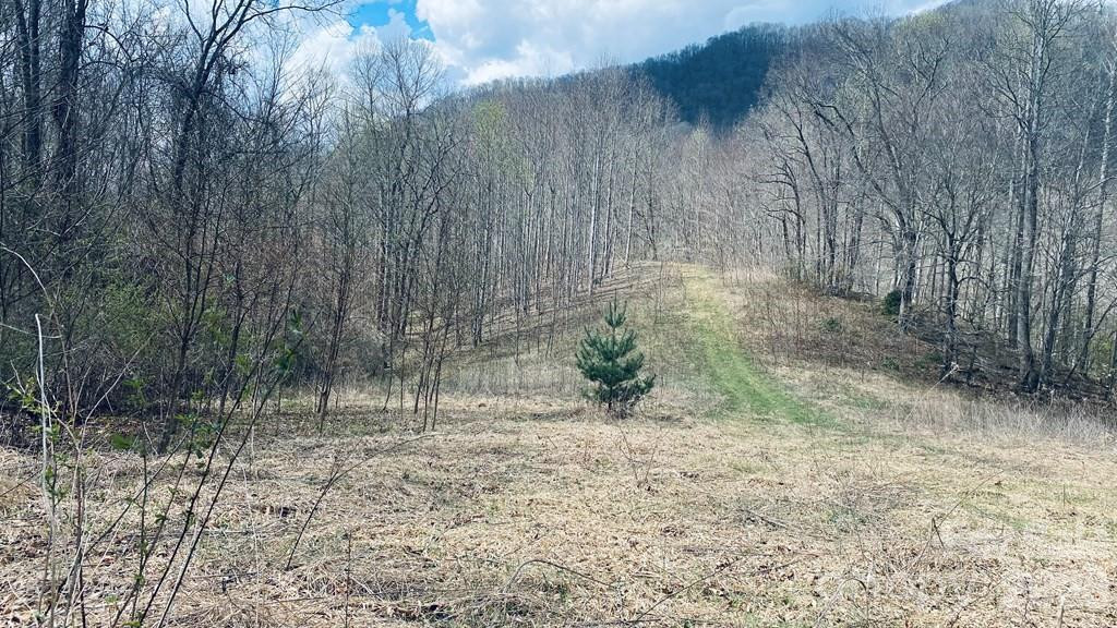 5 Brasstown Road - Photo 5