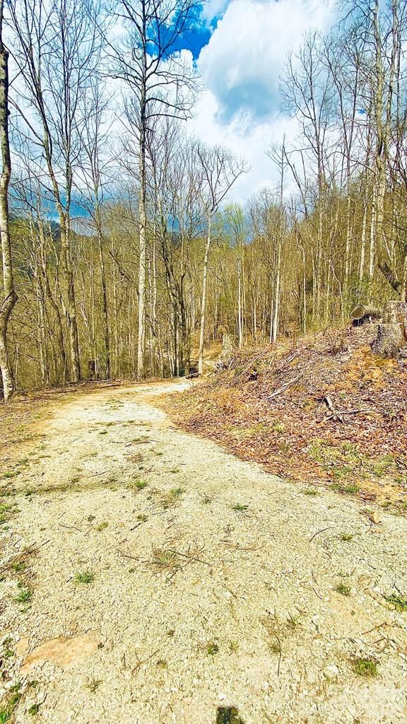 5 Brasstown Road - Photo 6