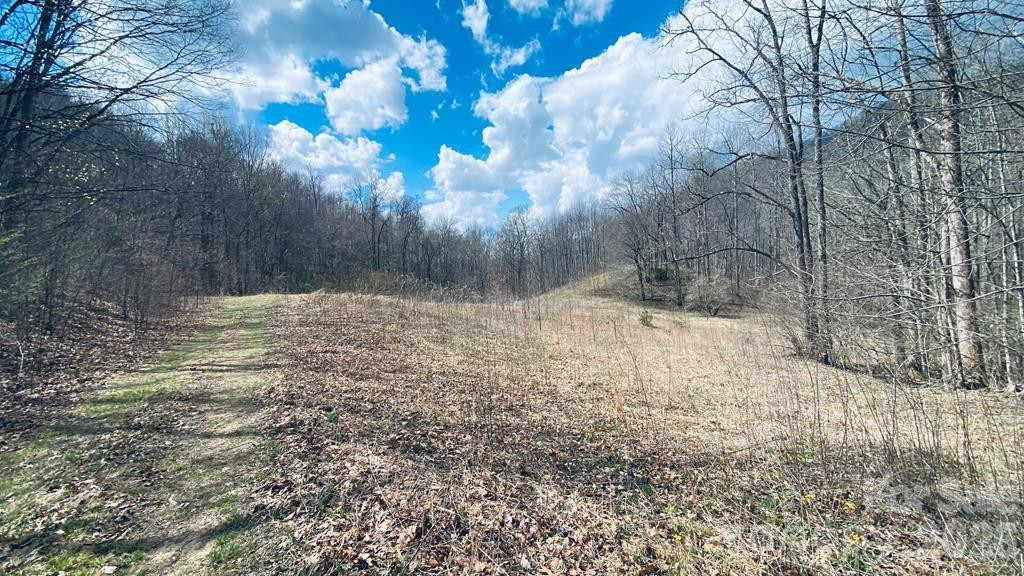 5 Brasstown Road - Photo 7