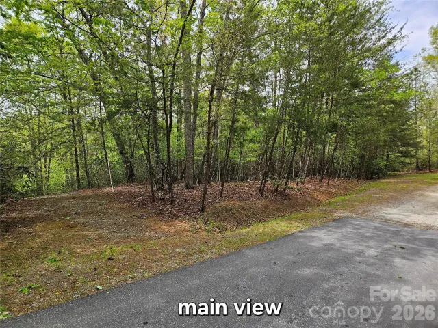 81 Mill Ridge Road, Nebo, NC, 28761