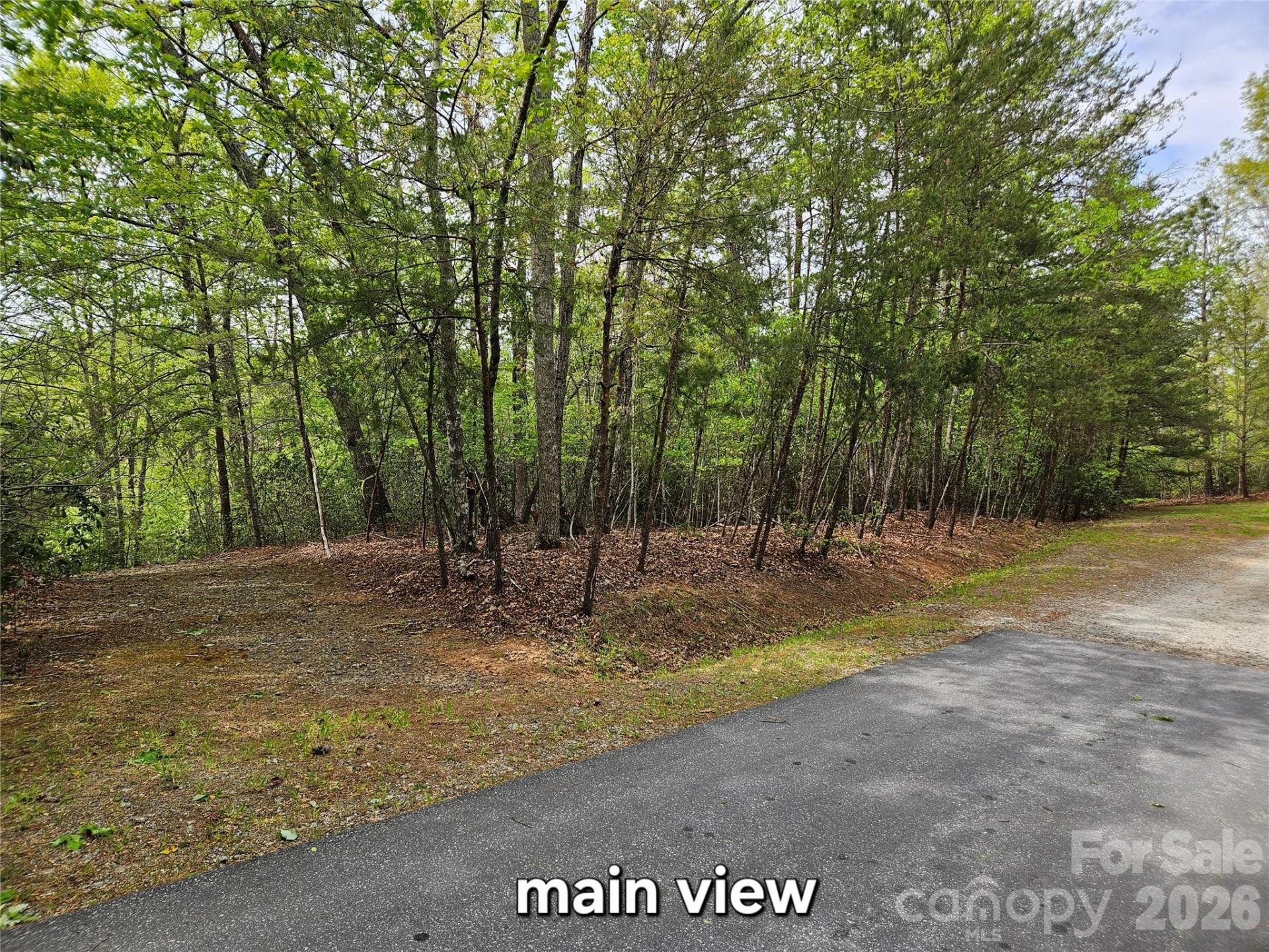 81 Mill Ridge Road