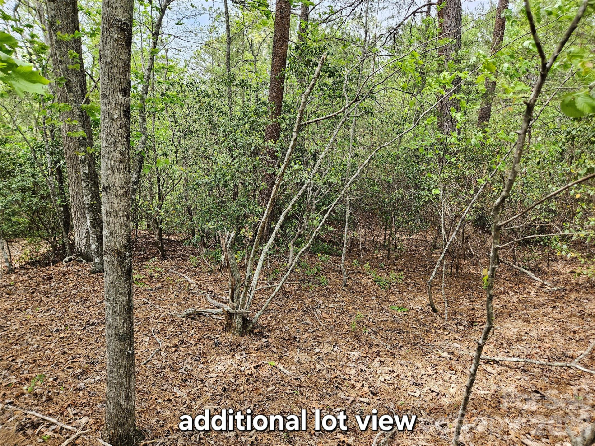 81 Mill Ridge Road - Photo 4