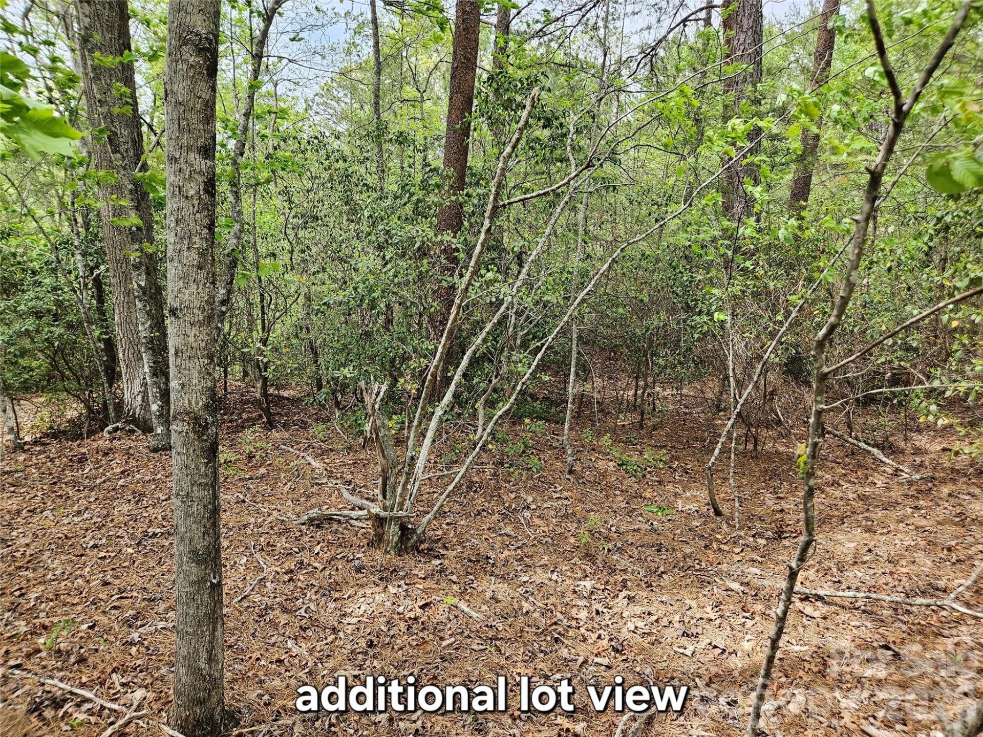 81 Mill Ridge Road - Photo 4