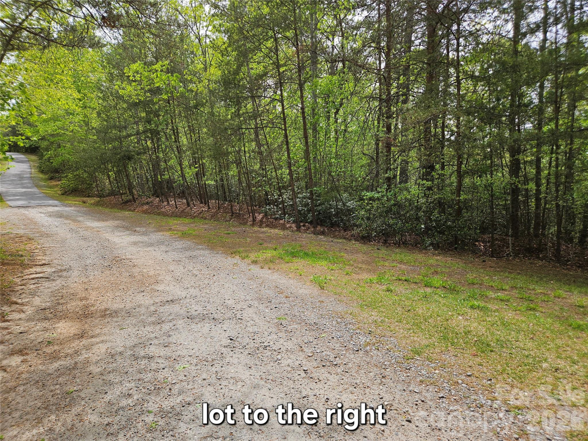 81 Mill Ridge Road - Photo 14