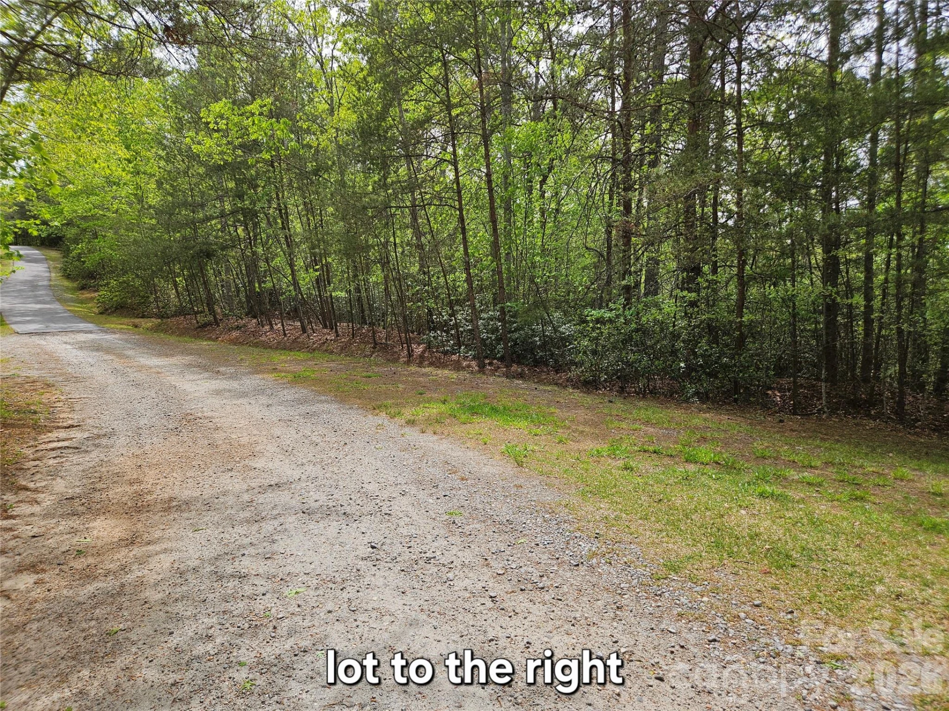 81 Mill Ridge Road - Photo 14