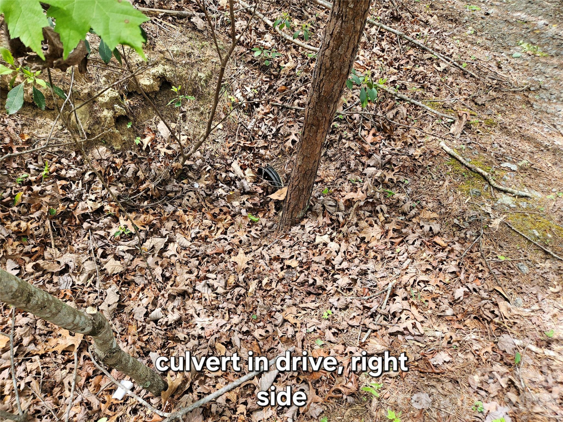 81 Mill Ridge Road - Photo 15