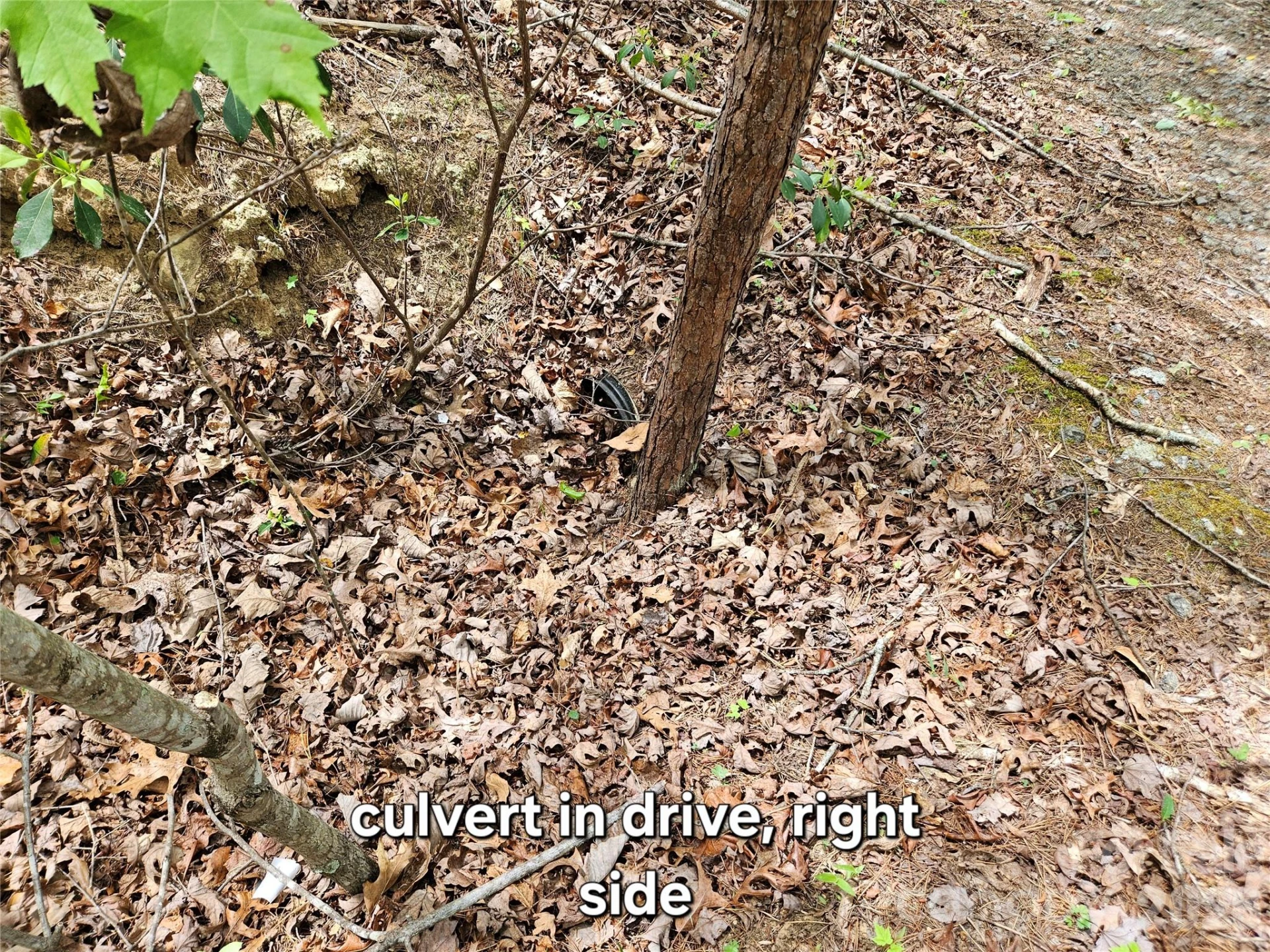 81 Mill Ridge Road - Photo 15
