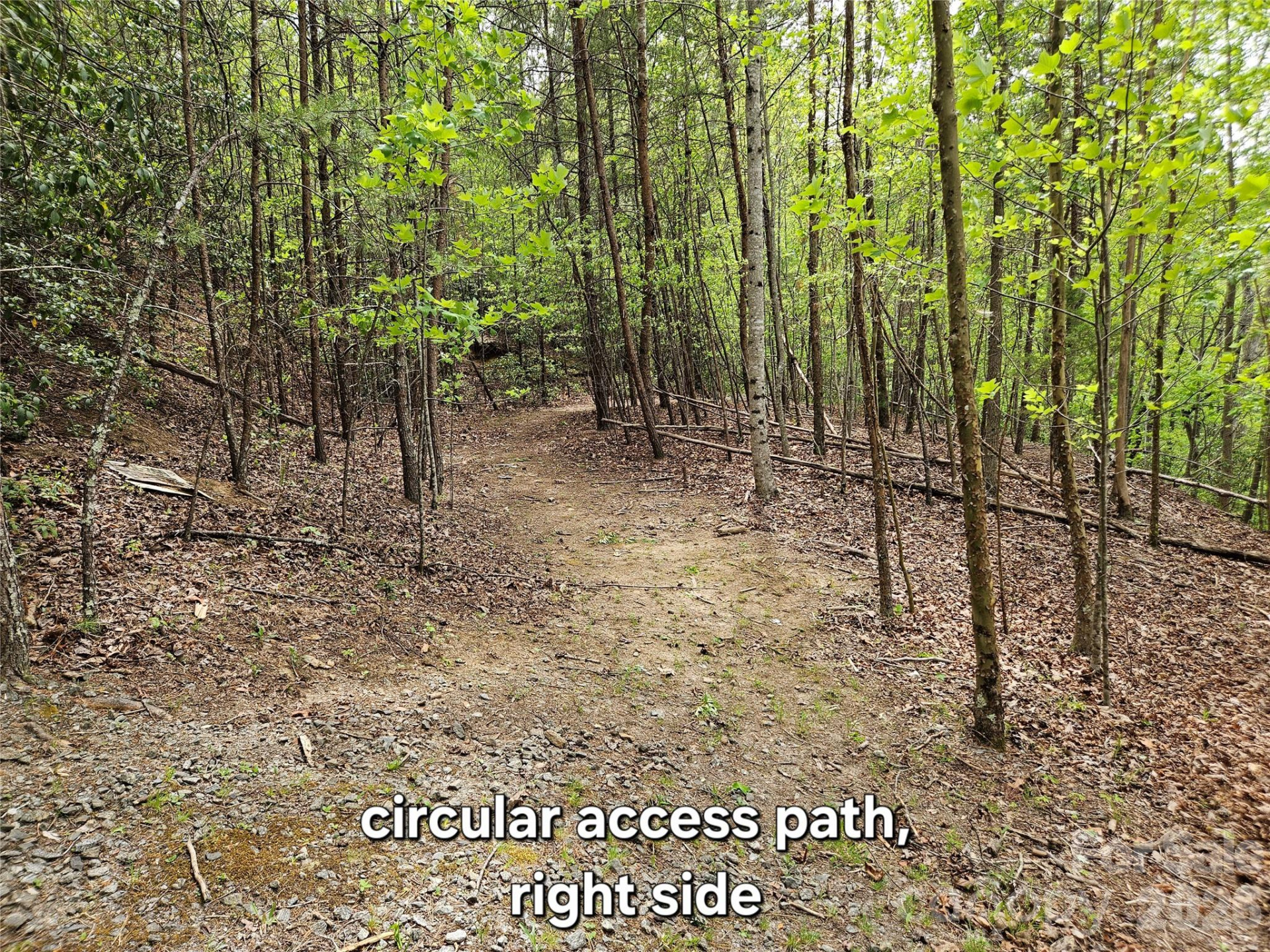 81 Mill Ridge Road - Photo 16