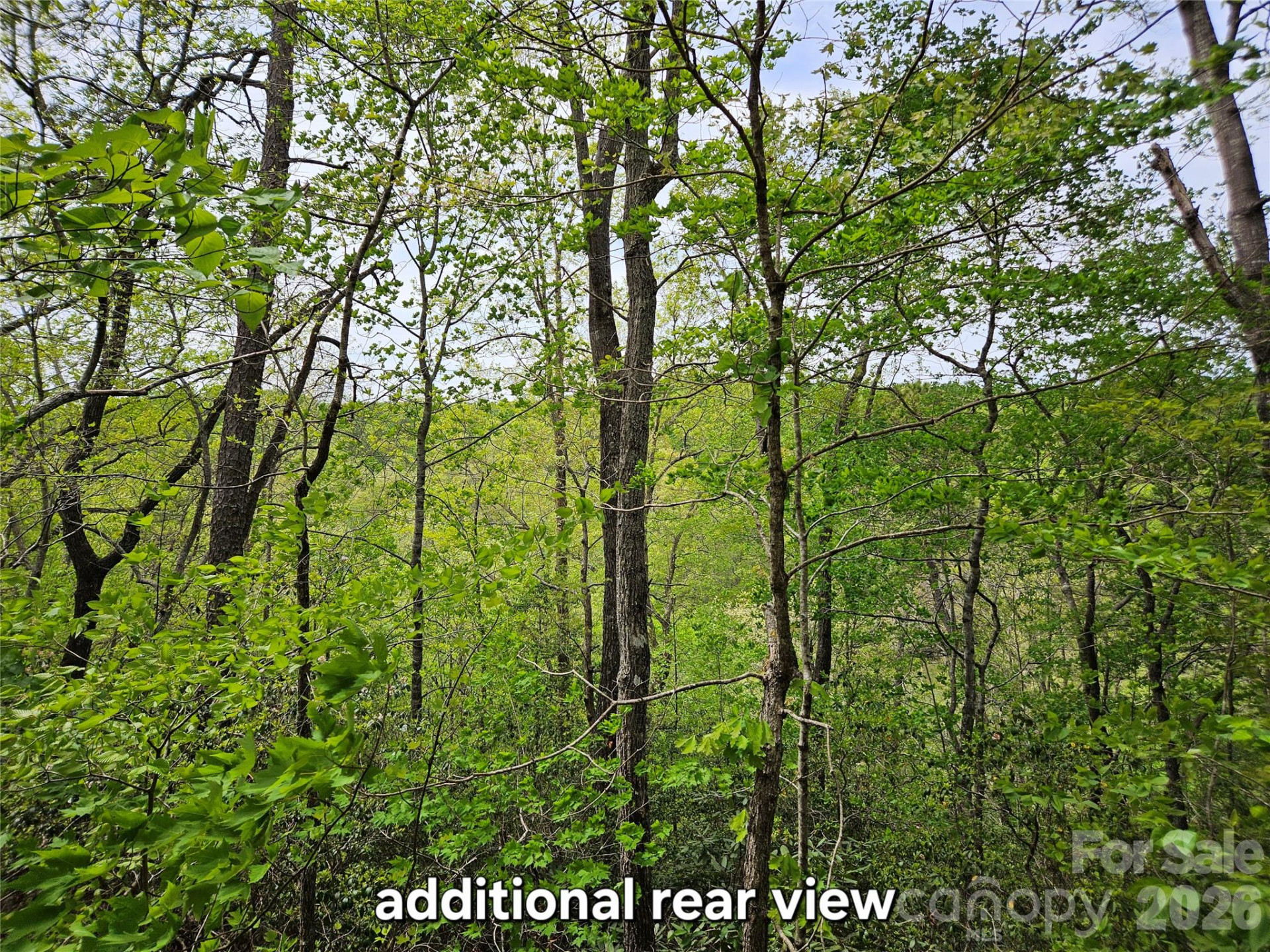 81 Mill Ridge Road - Photo 19