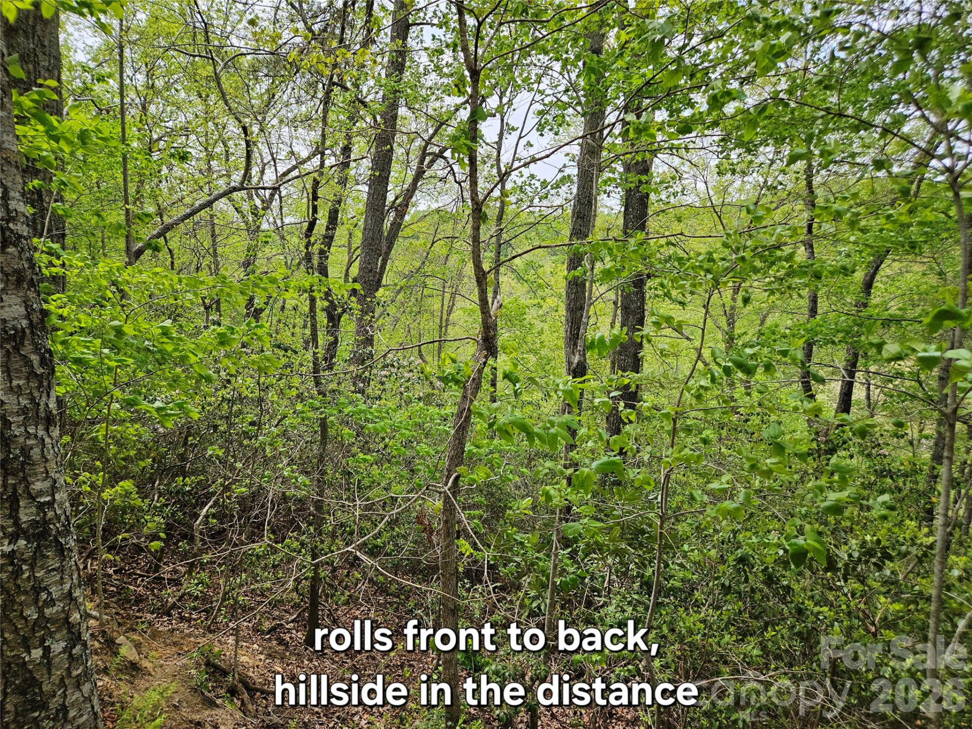 81 Mill Ridge Road - Photo 20
