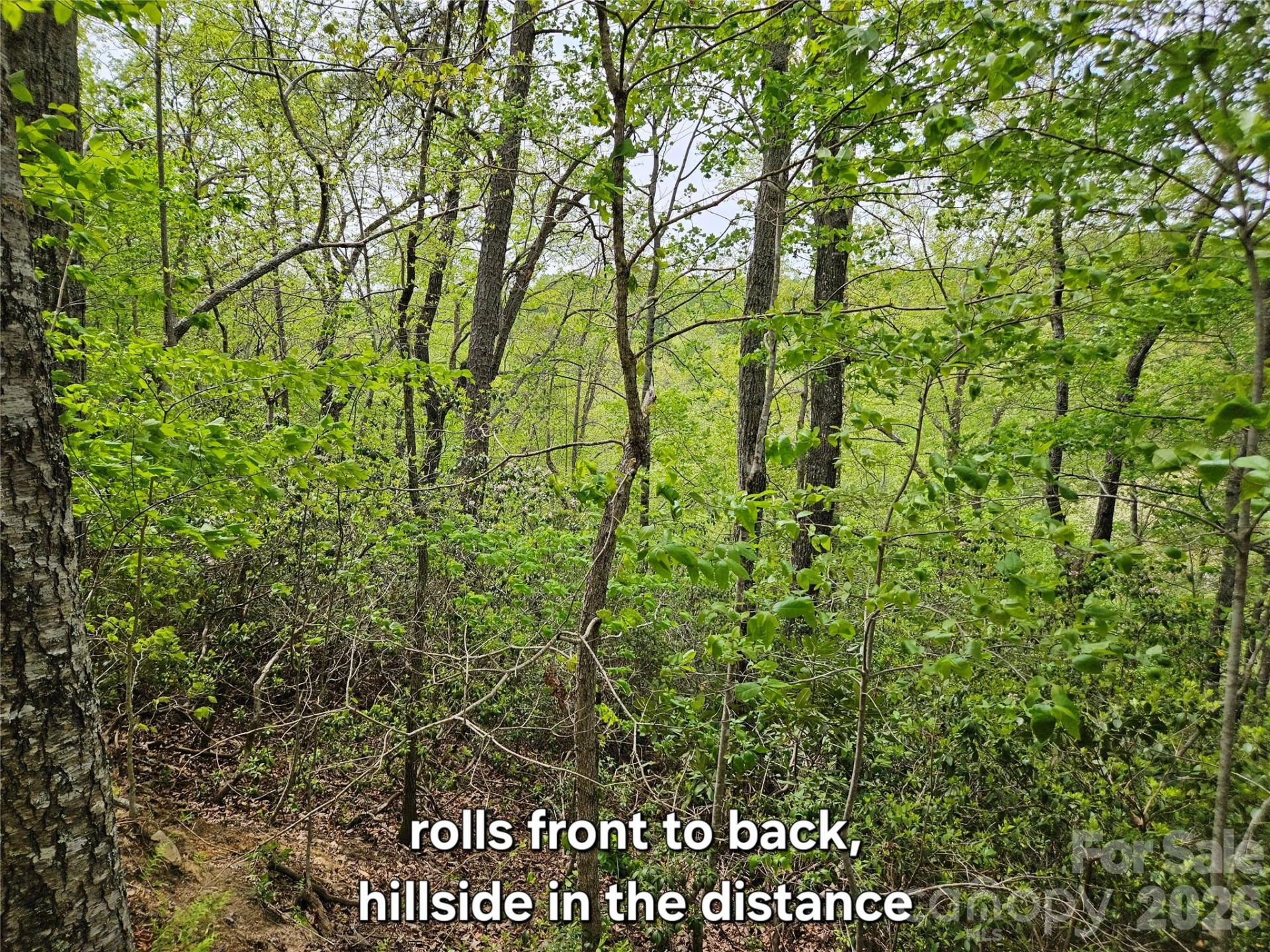 81 Mill Ridge Road - Photo 20
