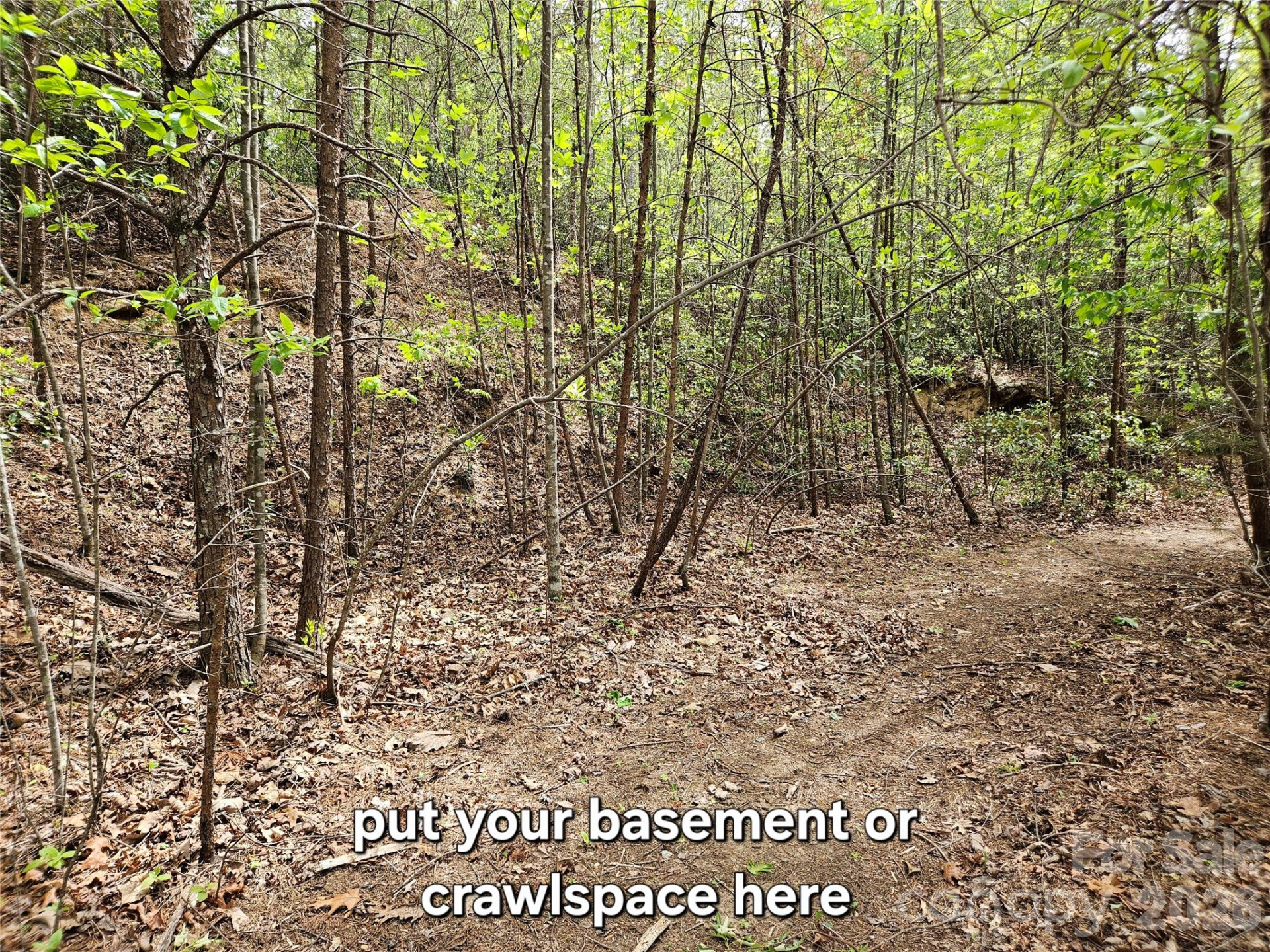 81 Mill Ridge Road - Photo 21