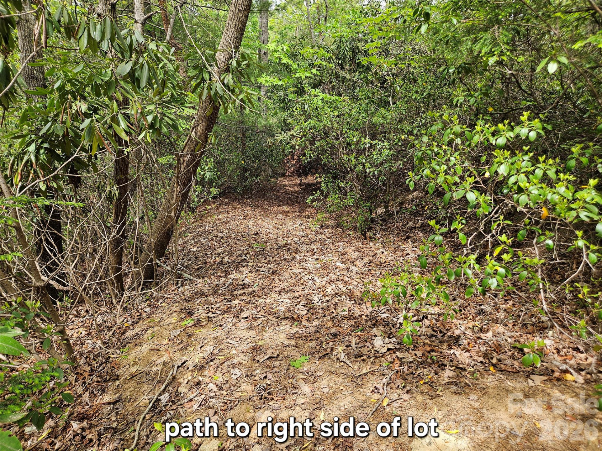 81 Mill Ridge Road - Photo 22