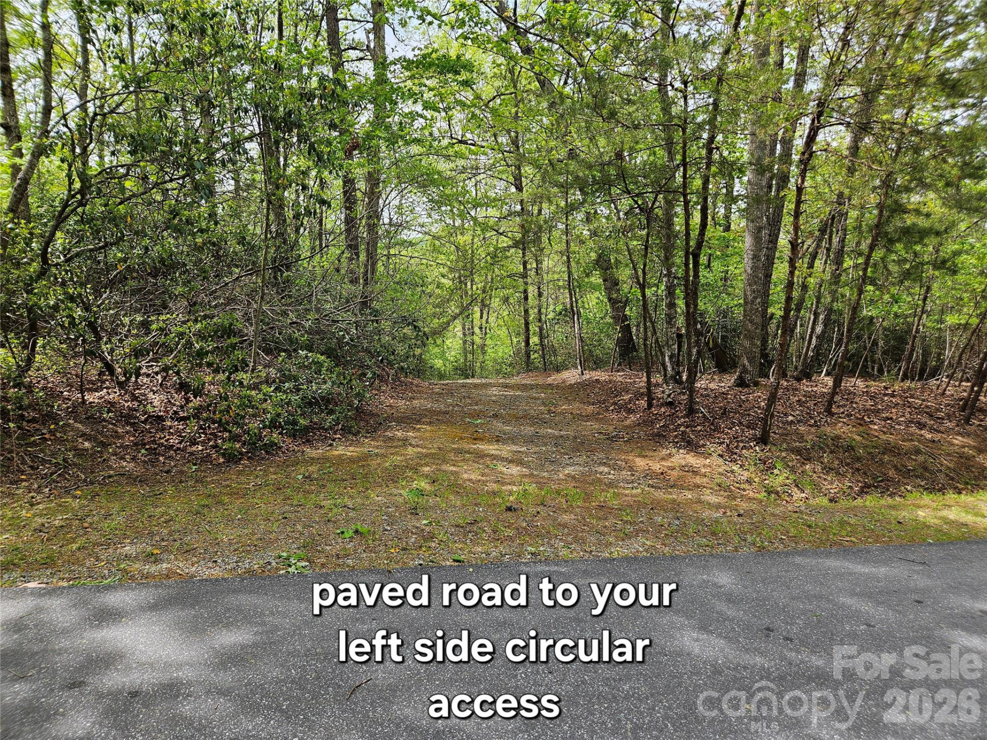 81 Mill Ridge Road - Photo 6