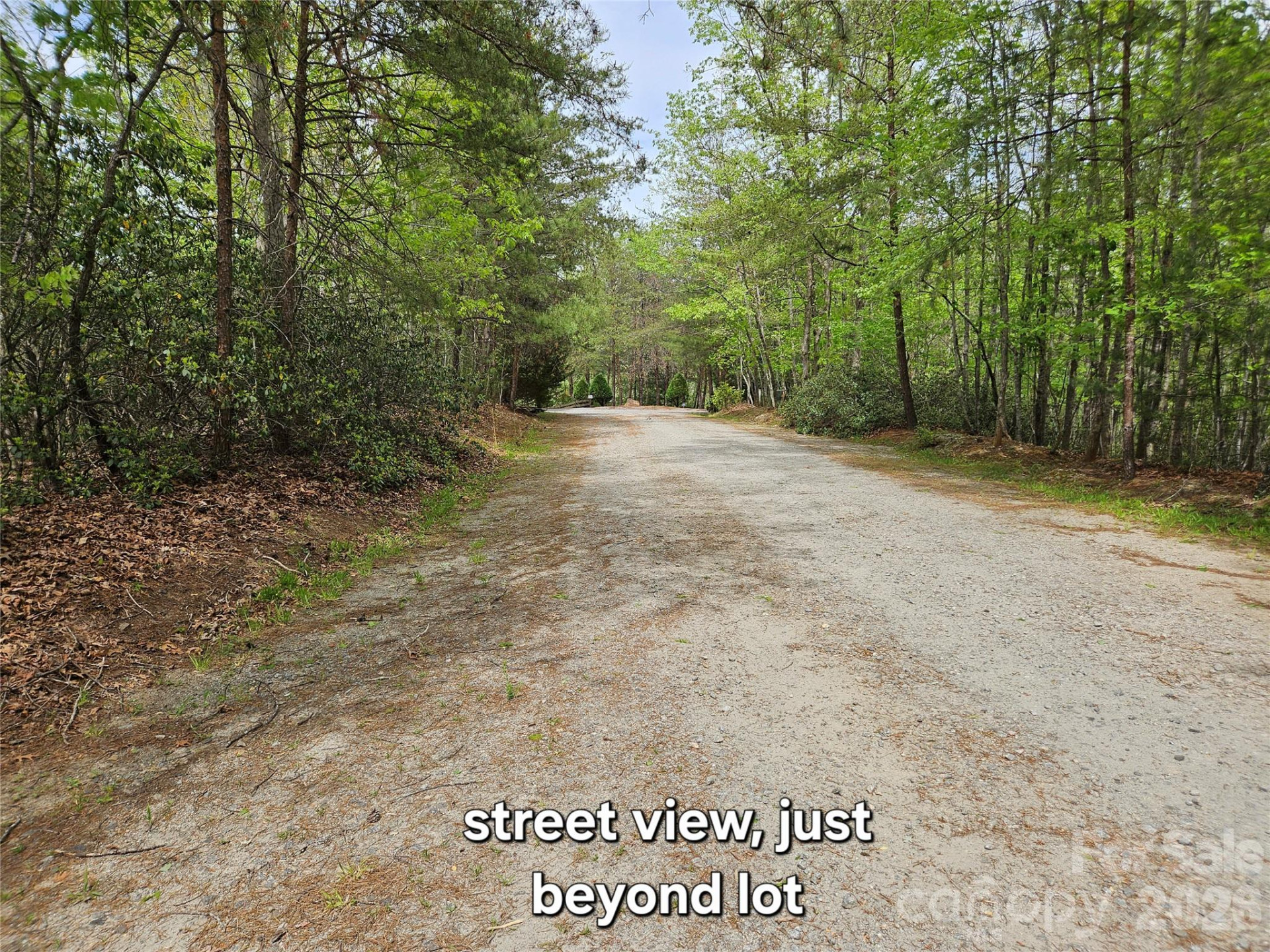 81 Mill Ridge Road - Photo 7