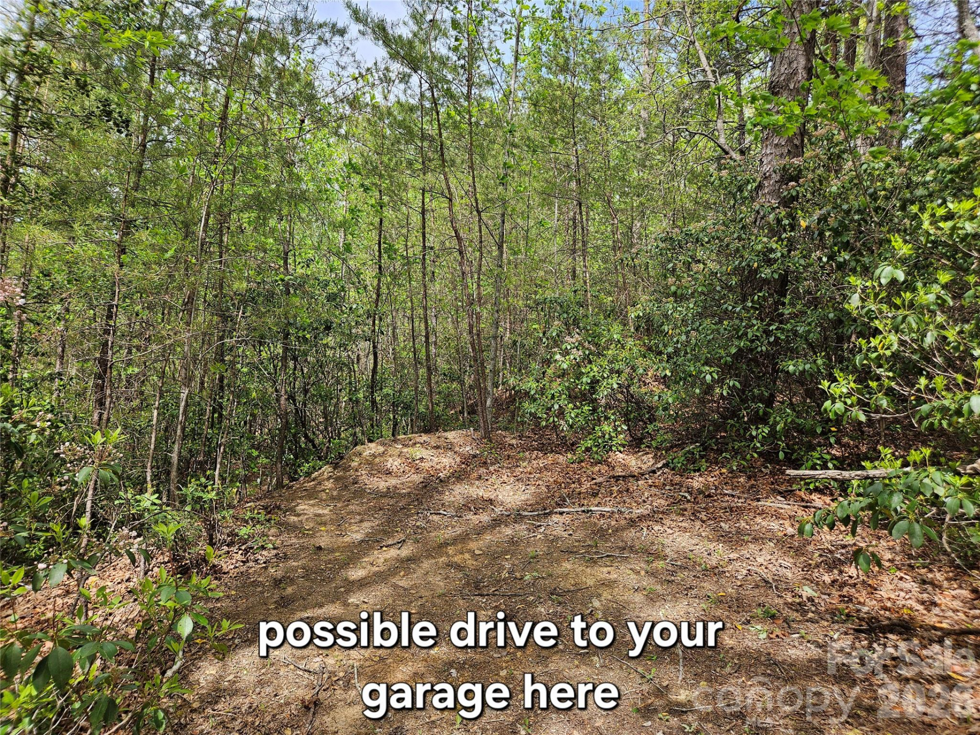 81 Mill Ridge Road - Photo 9