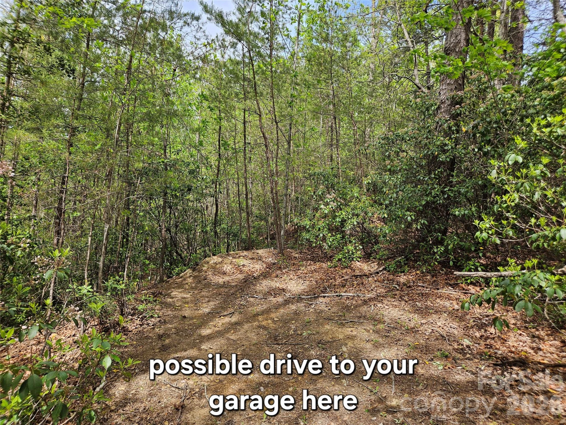 81 Mill Ridge Road - Photo 9