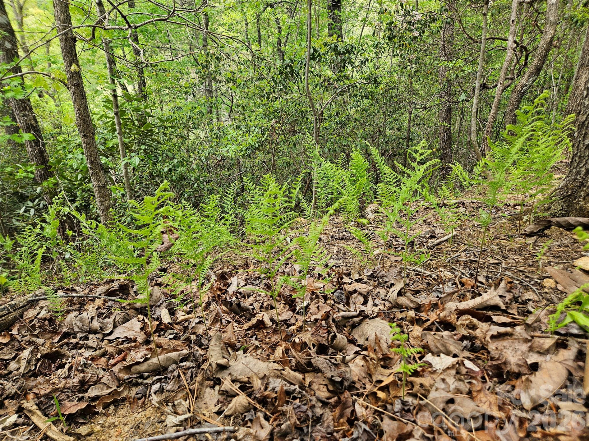 81 Mill Ridge Road - Photo 11