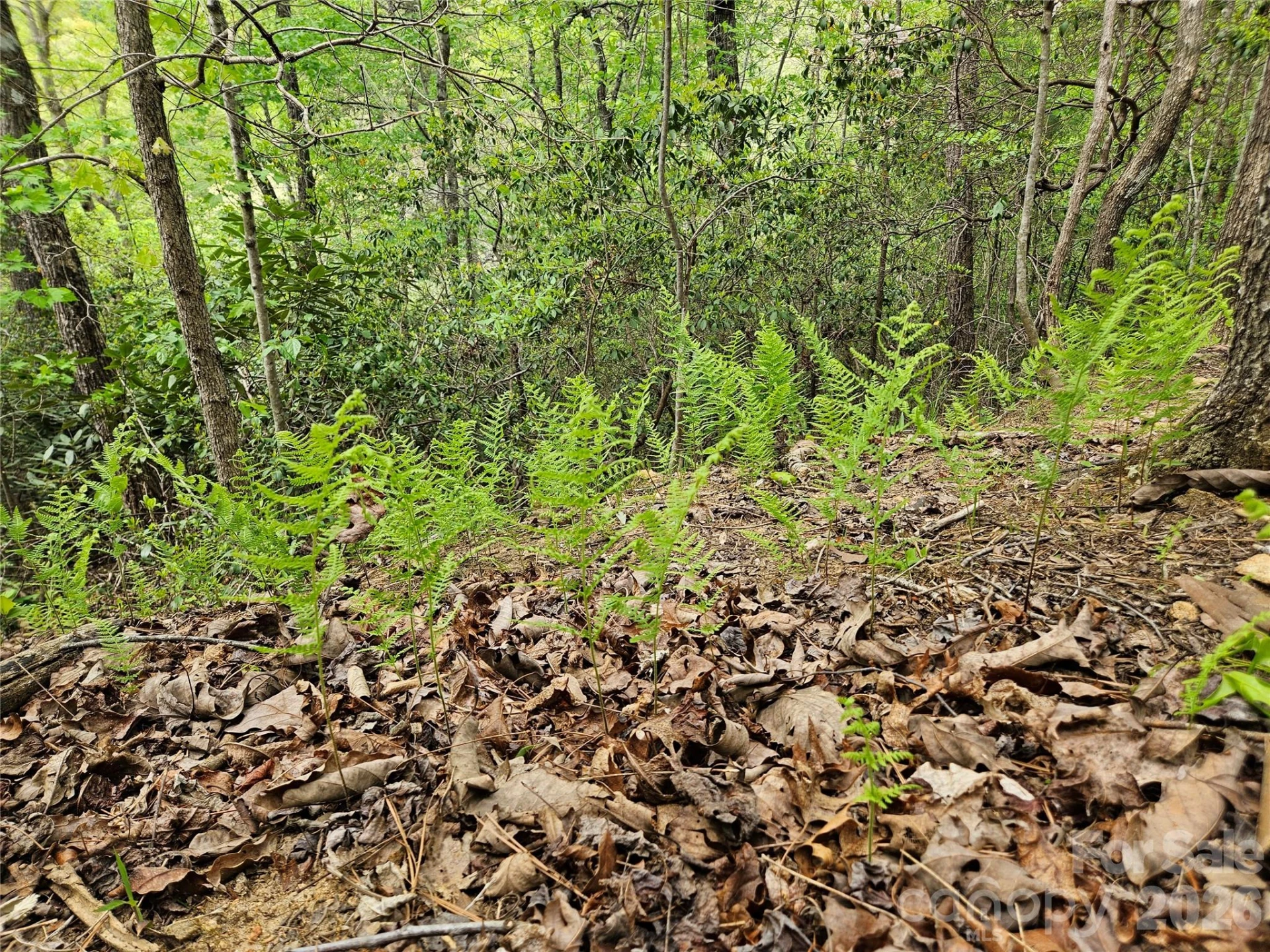 81 Mill Ridge Road - Photo 11