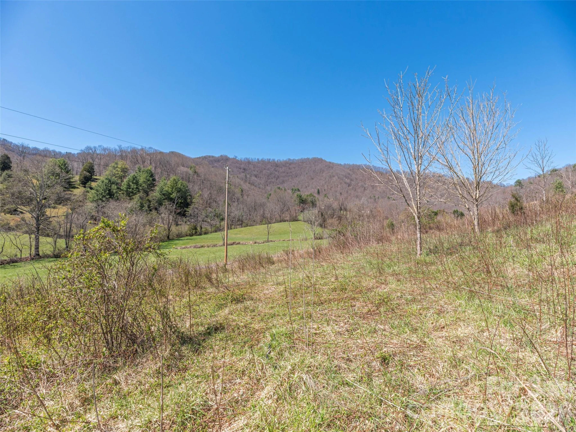 00 Worley Cove Road - Photo 2
