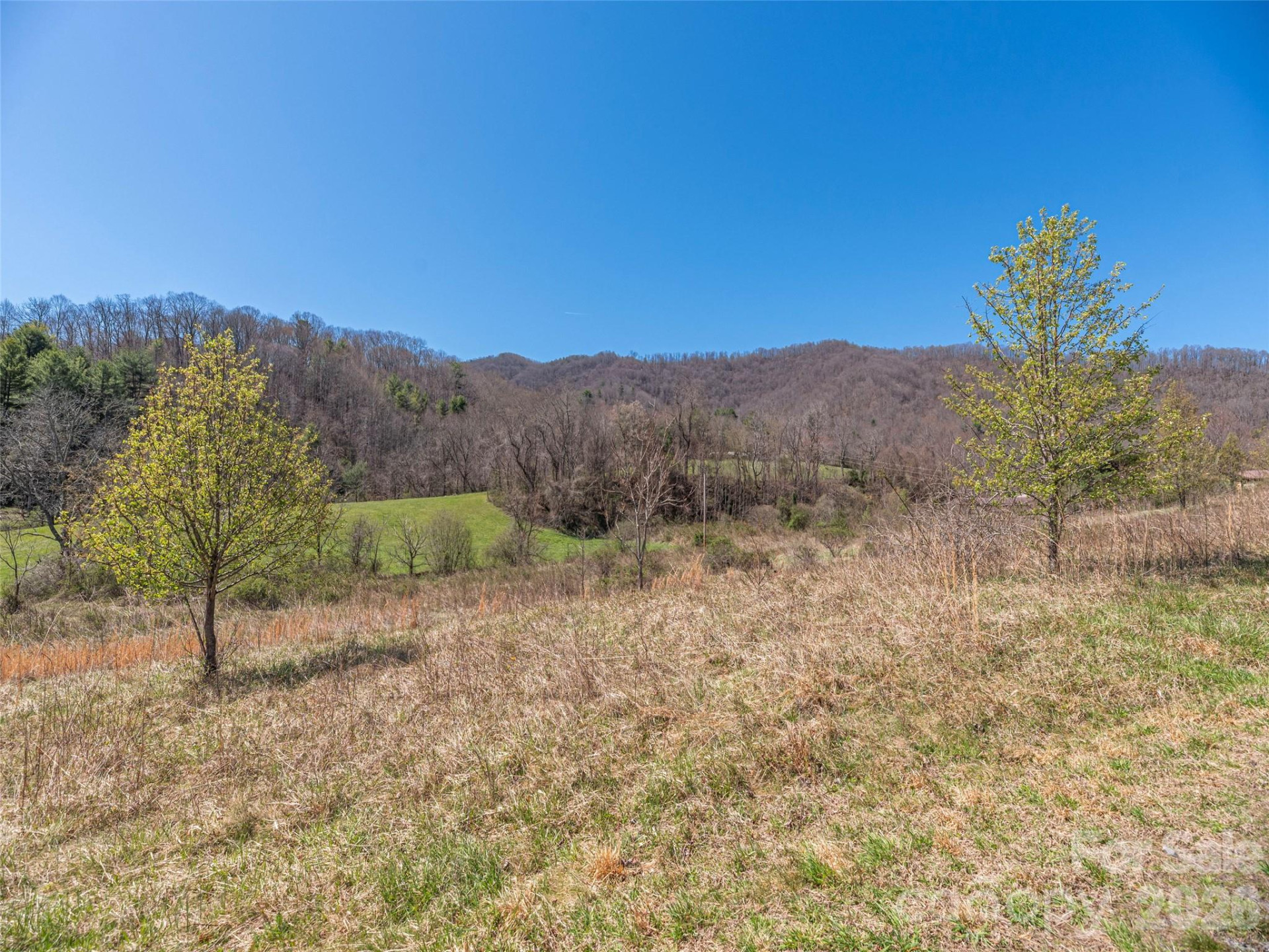 00 Worley Cove Road - Photo 16