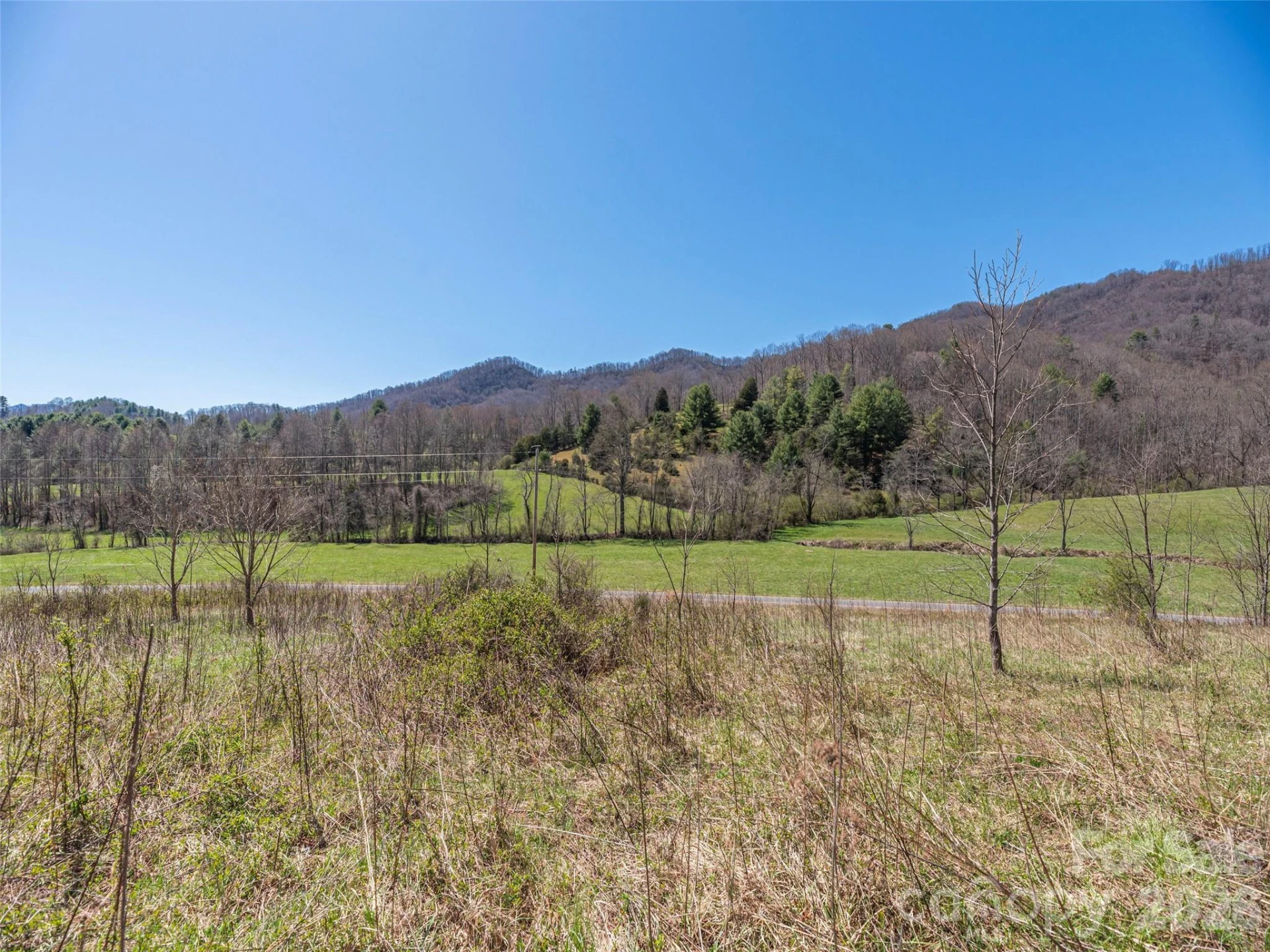 00 Worley Cove Road - Photo 4