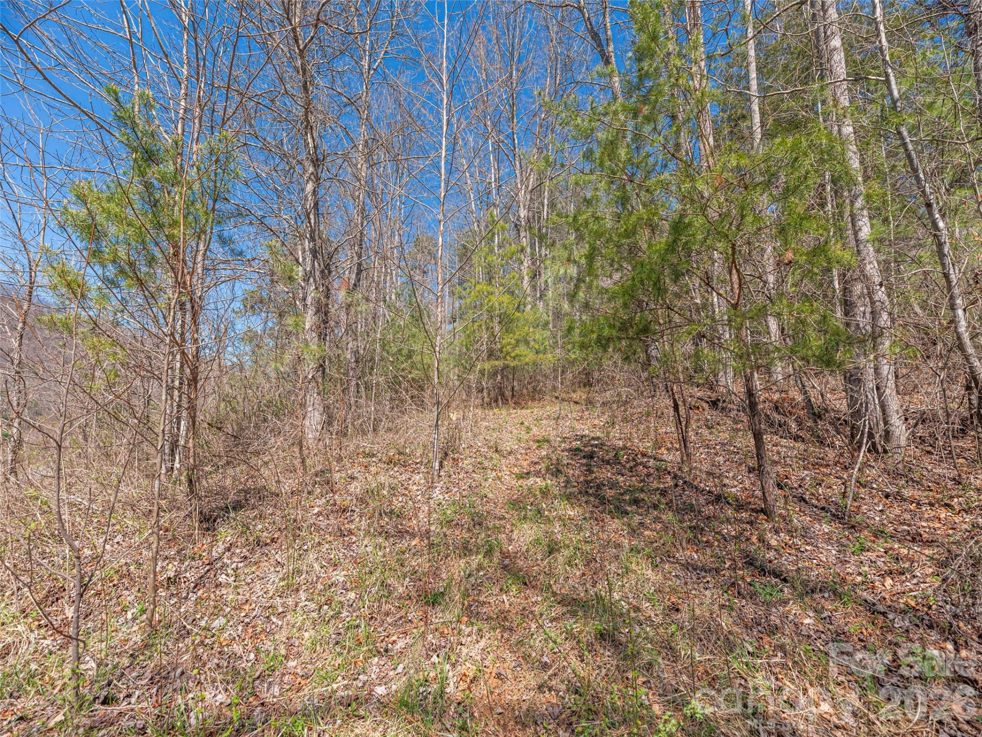 00 Worley Cove Road - Photo 6