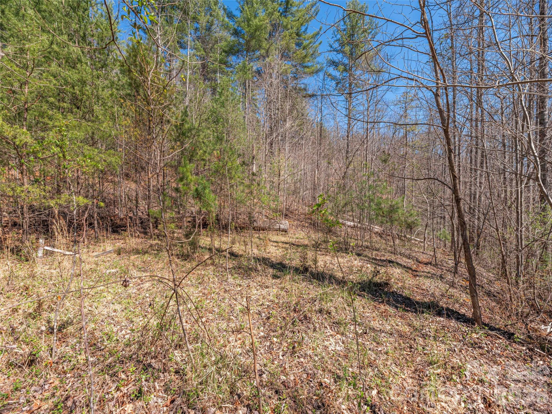 00 Worley Cove Road - Photo 7