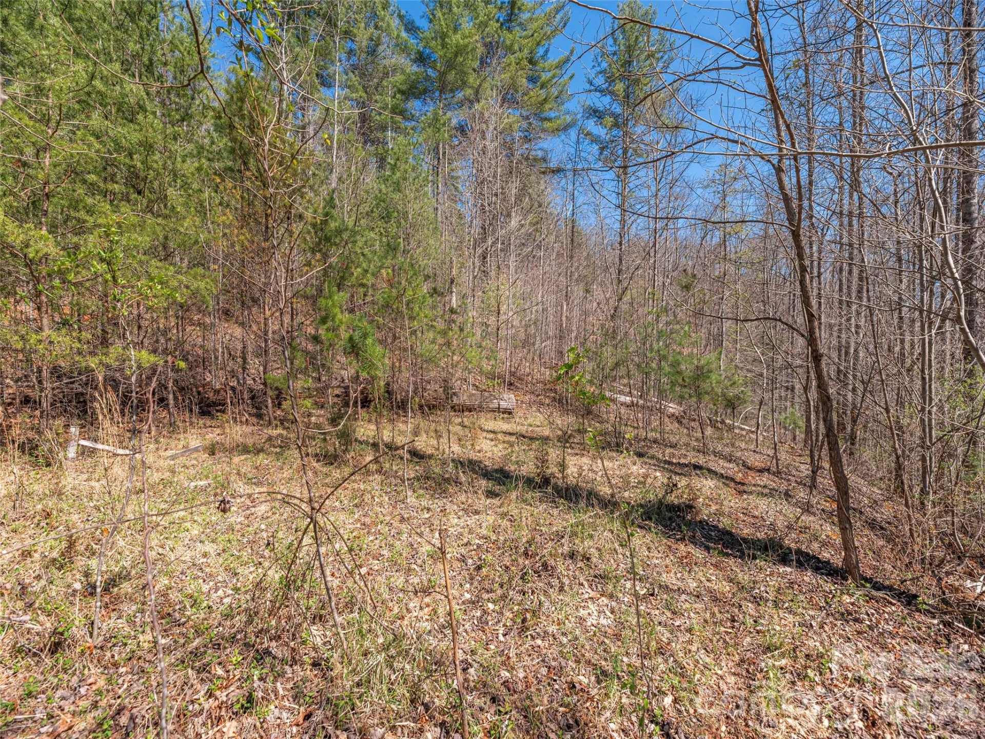 00 Worley Cove Road - Photo 7