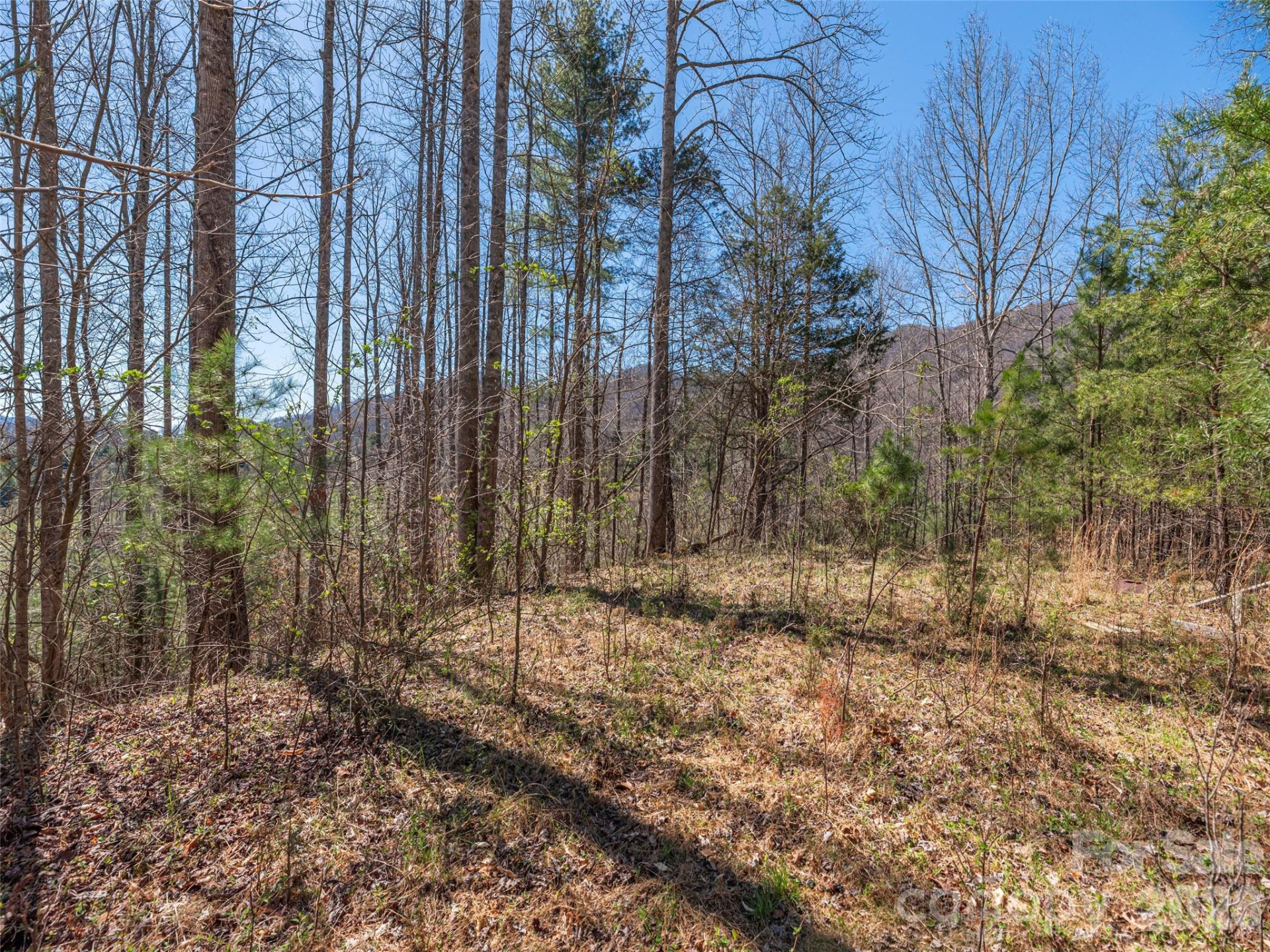 00 Worley Cove Road - Photo 8