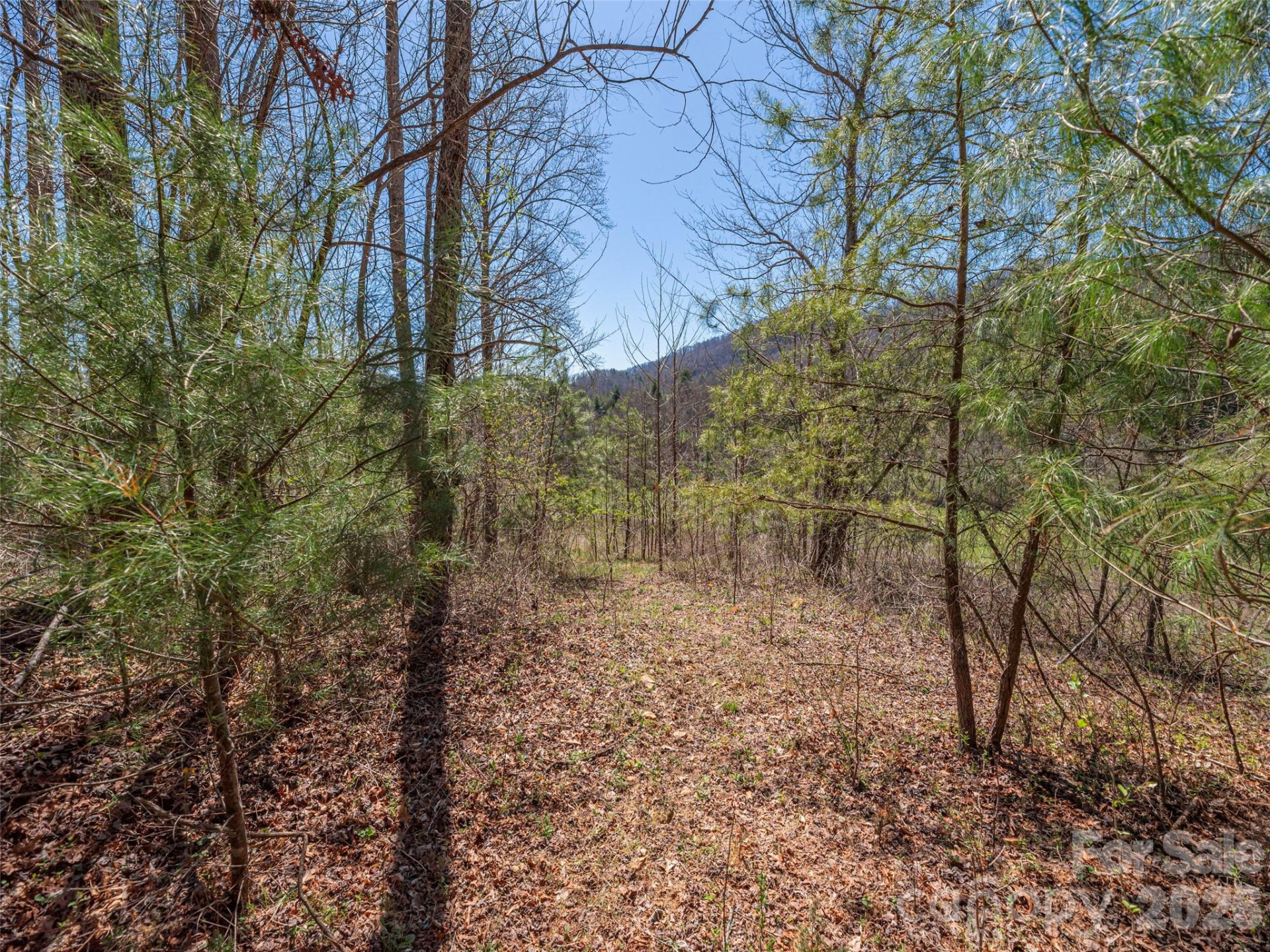 00 Worley Cove Road - Photo 9