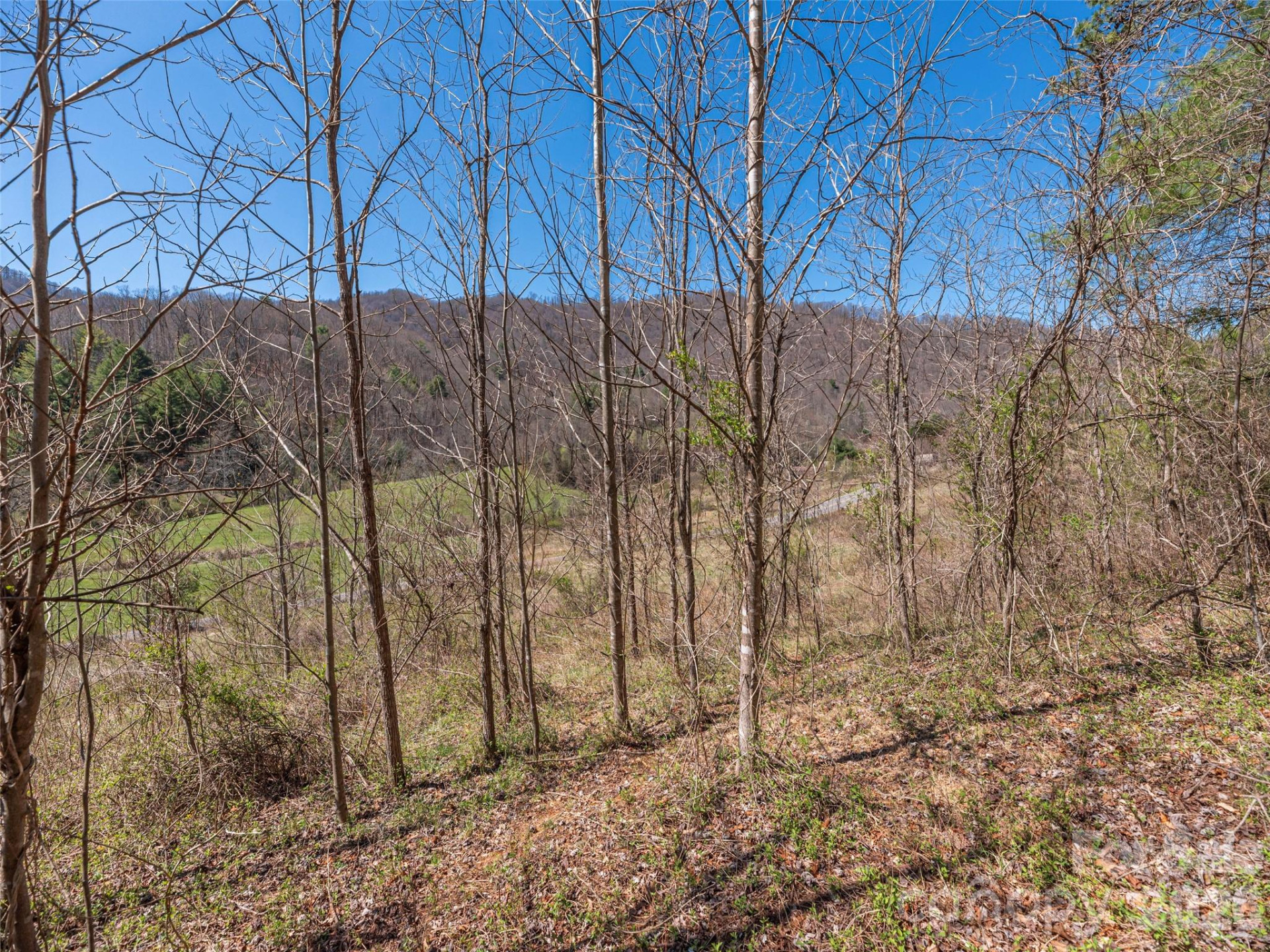 00 Worley Cove Road - Photo 10