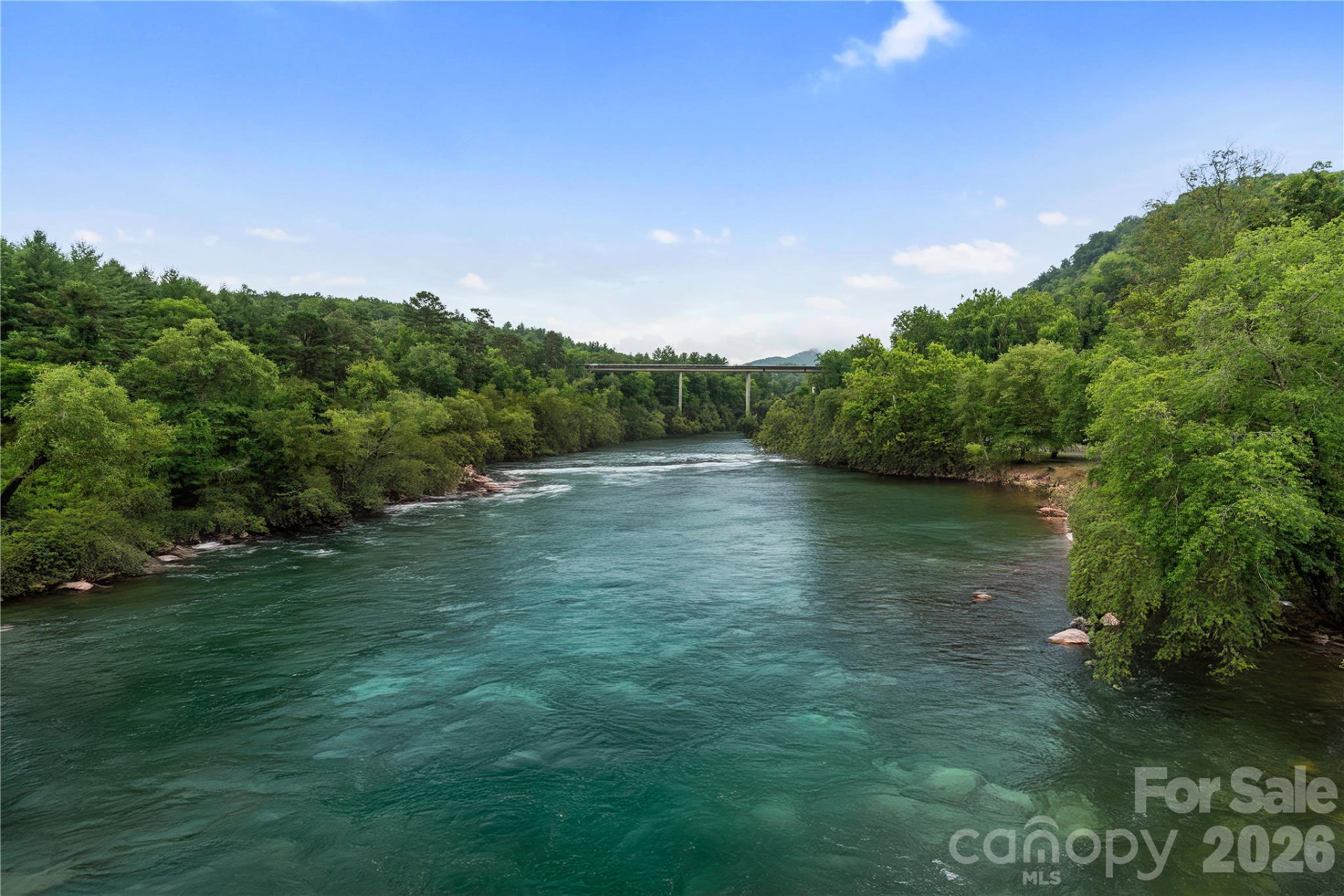 10 Heartleaf Circle - Photo 43