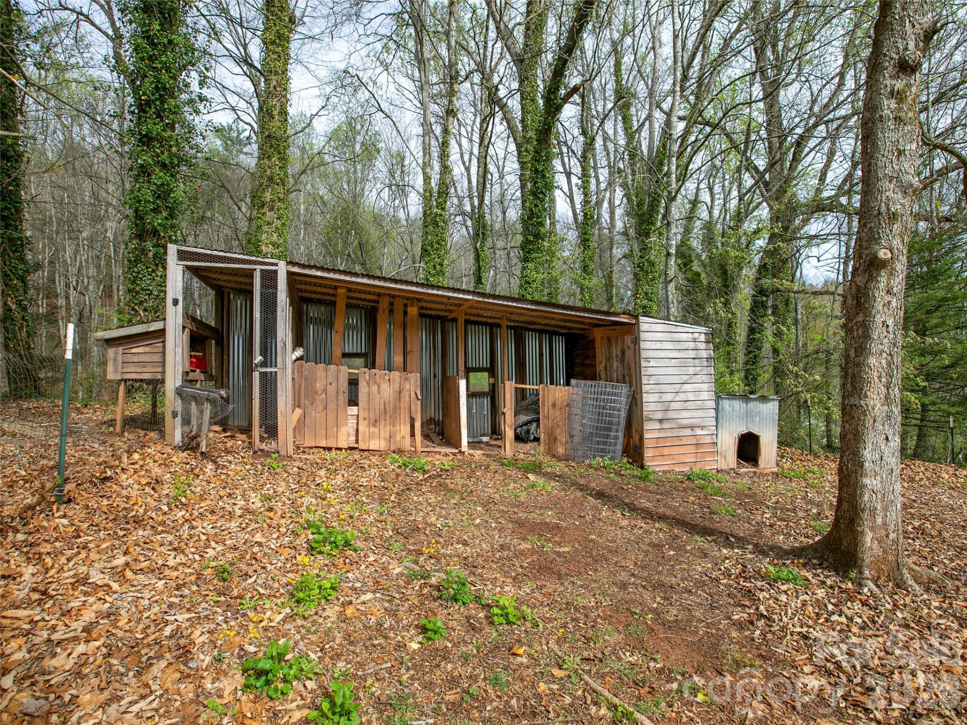 514 Cherryfield Loop - Photo 48