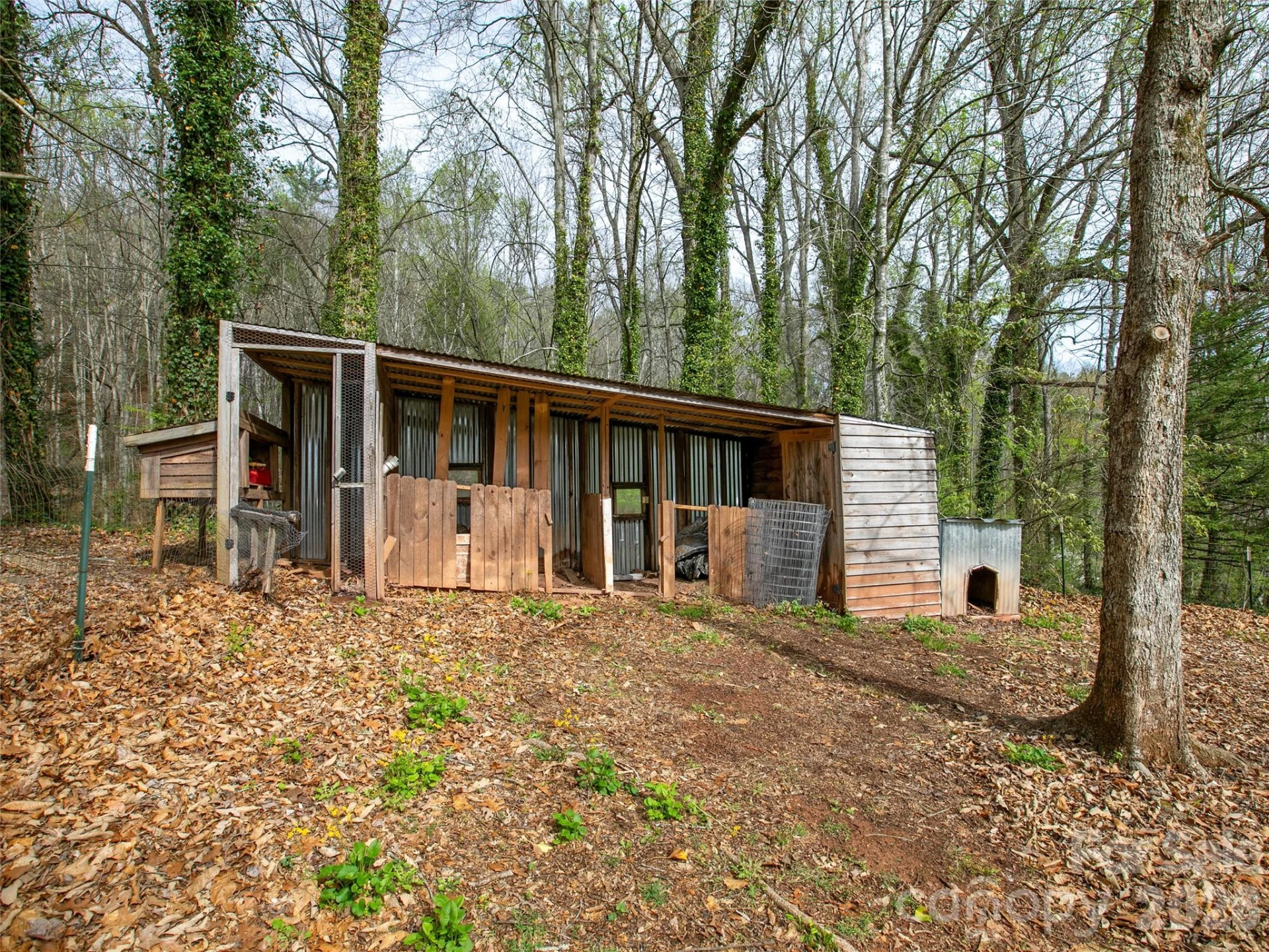 514 Cherryfield Loop - Photo 48