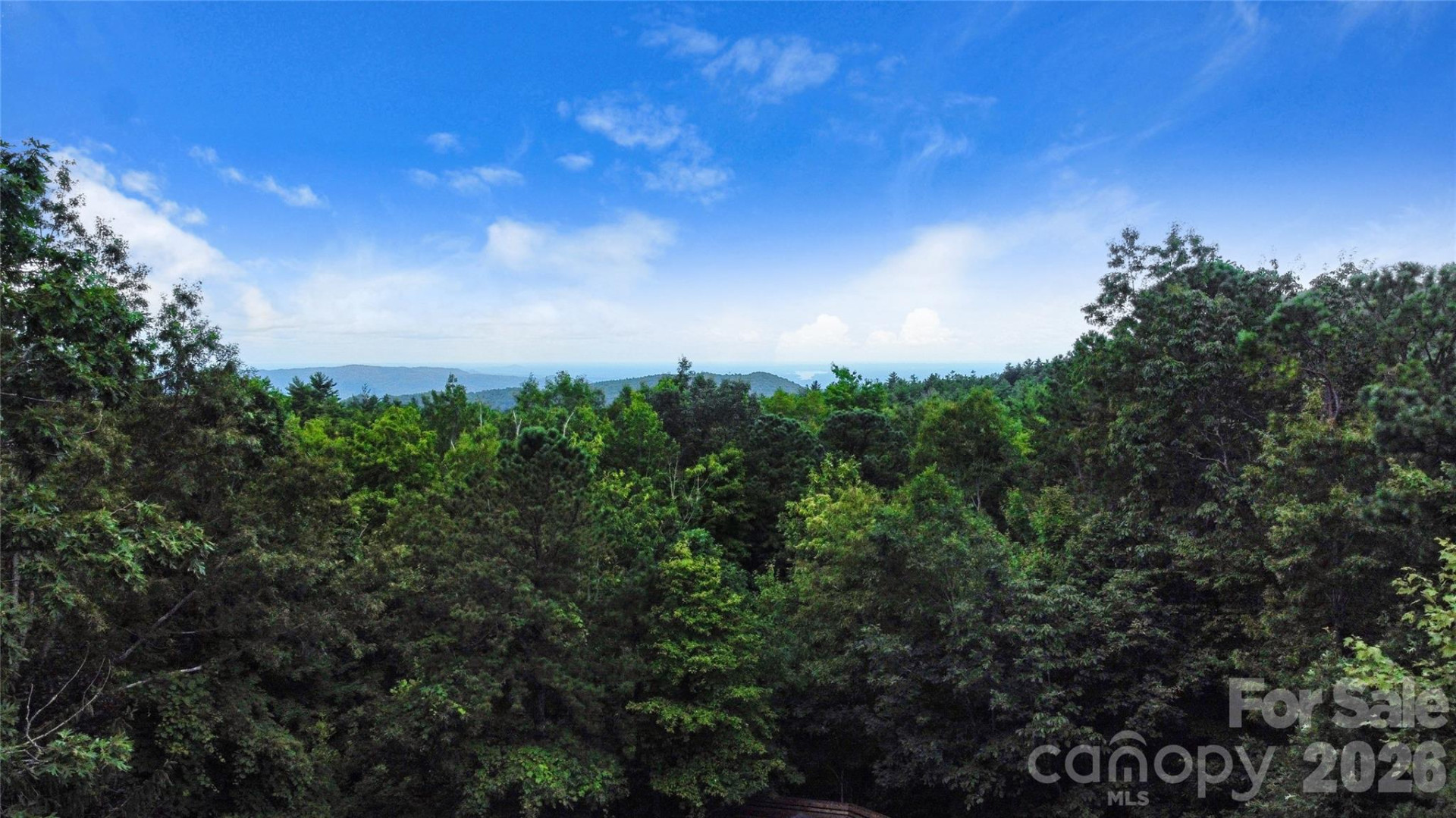 121 Toxaway Views Drive #503 - Photo 44