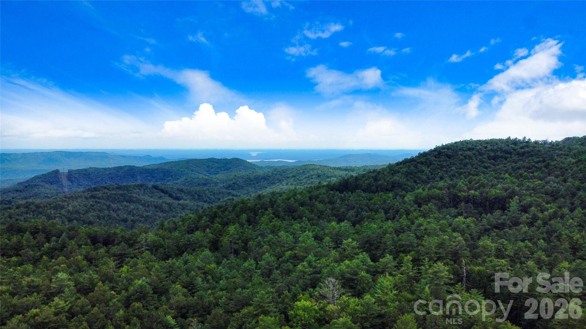 121 Toxaway Views Drive #503 - Photo 45