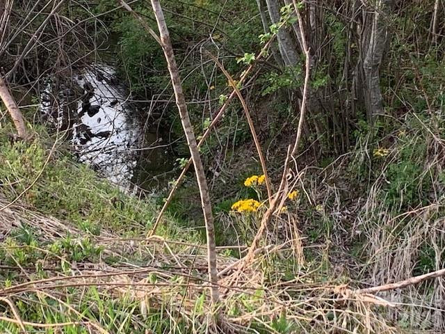 7.33AC COM CHIMNEY ROCK Highway #1,2,3 - Photo 6