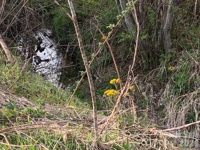 7.33AC COM CHIMNEY ROCK Highway #1,2,3 - Photo 6