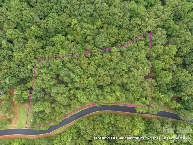 0 Twin Maple Way, Mill Spring, NC, 28756